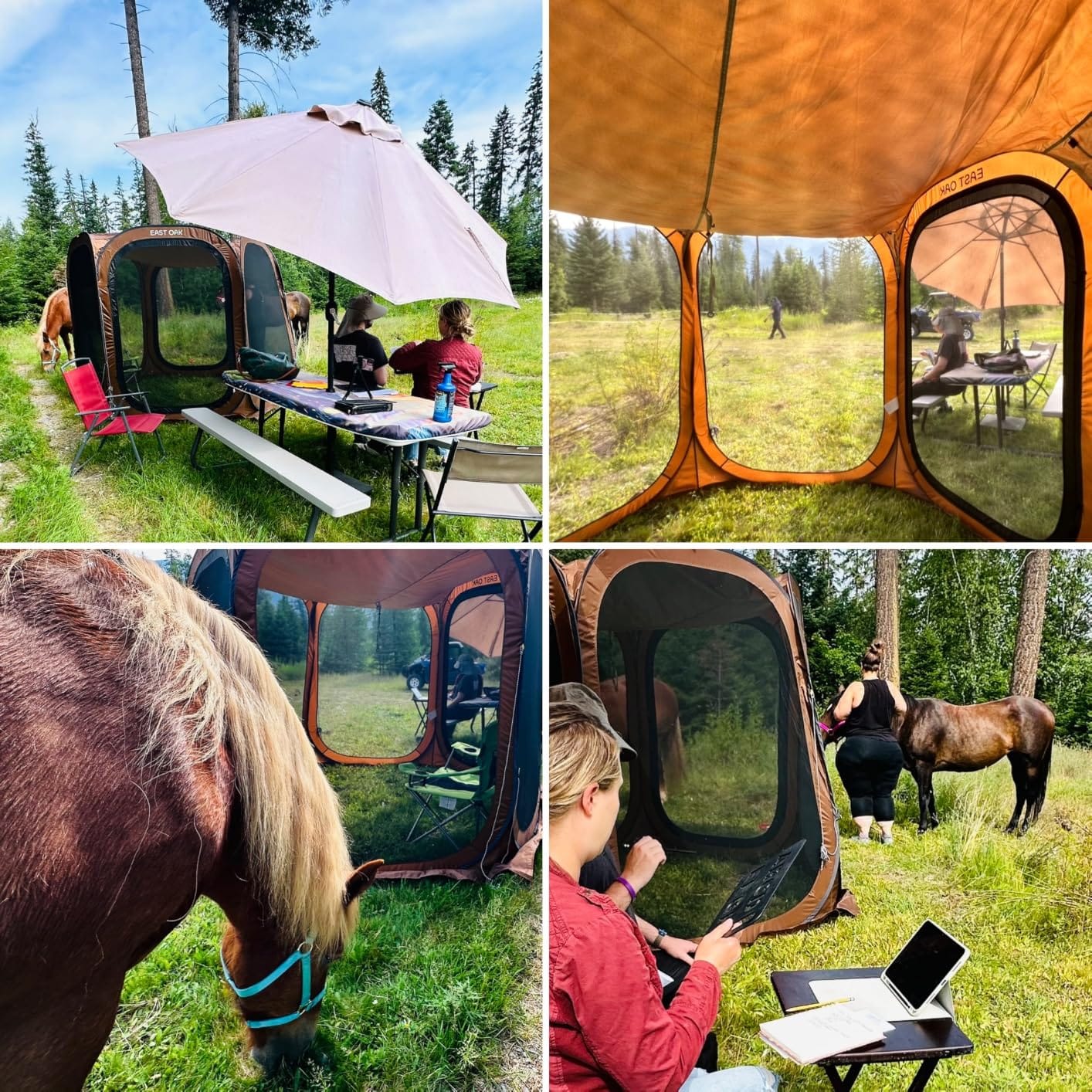 East Oak Pop up Screen Tent with Mosquito Netting, Portable Screen House Canopy Shelter, 10 x 10 FT Instant Screen Gazebo & UPF 50+ UV Protection for Patio, Backyard, Deck & Outdoor Activities, Beige customer photo 2