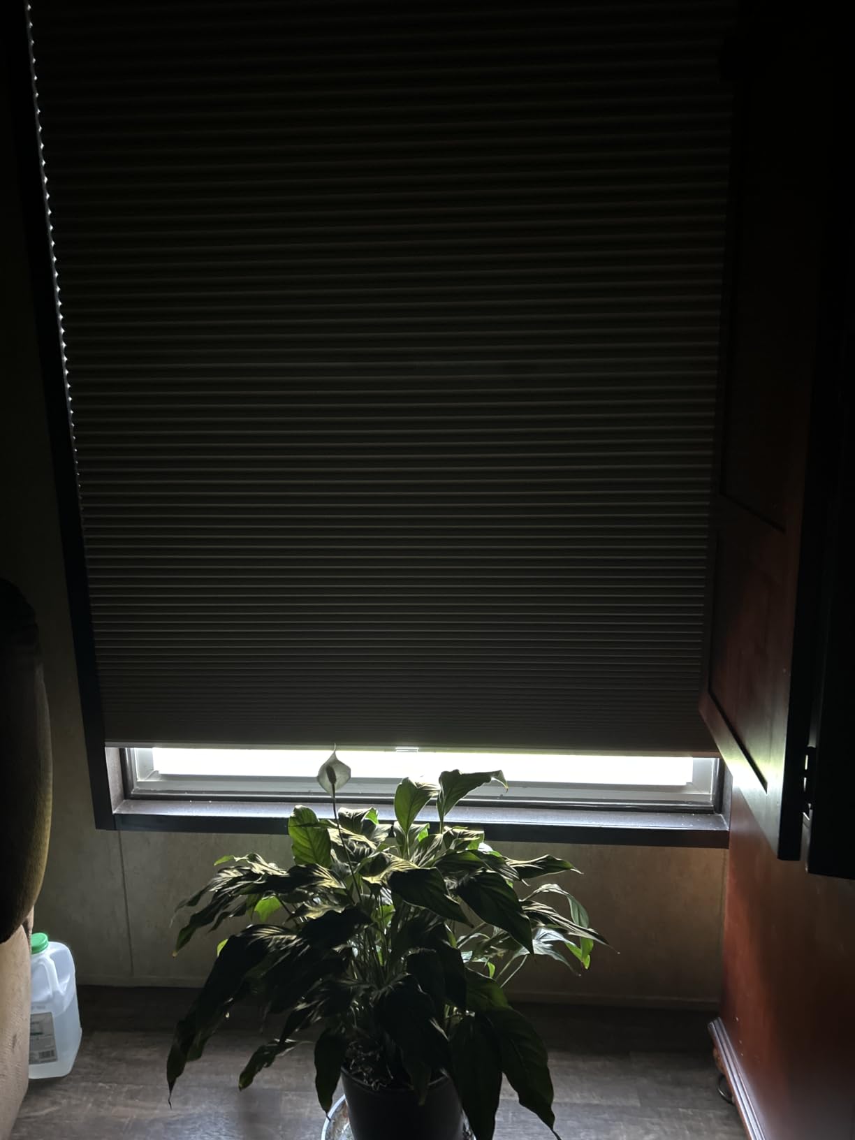 Changshade Cordless Cellular Shades, Blackout Honeycomb Shades for Windows, Pull Down Pleated Blinds, Easy to Install for Indoor Windows and French Doors, White(Blackout), Custom Size customer photo 2