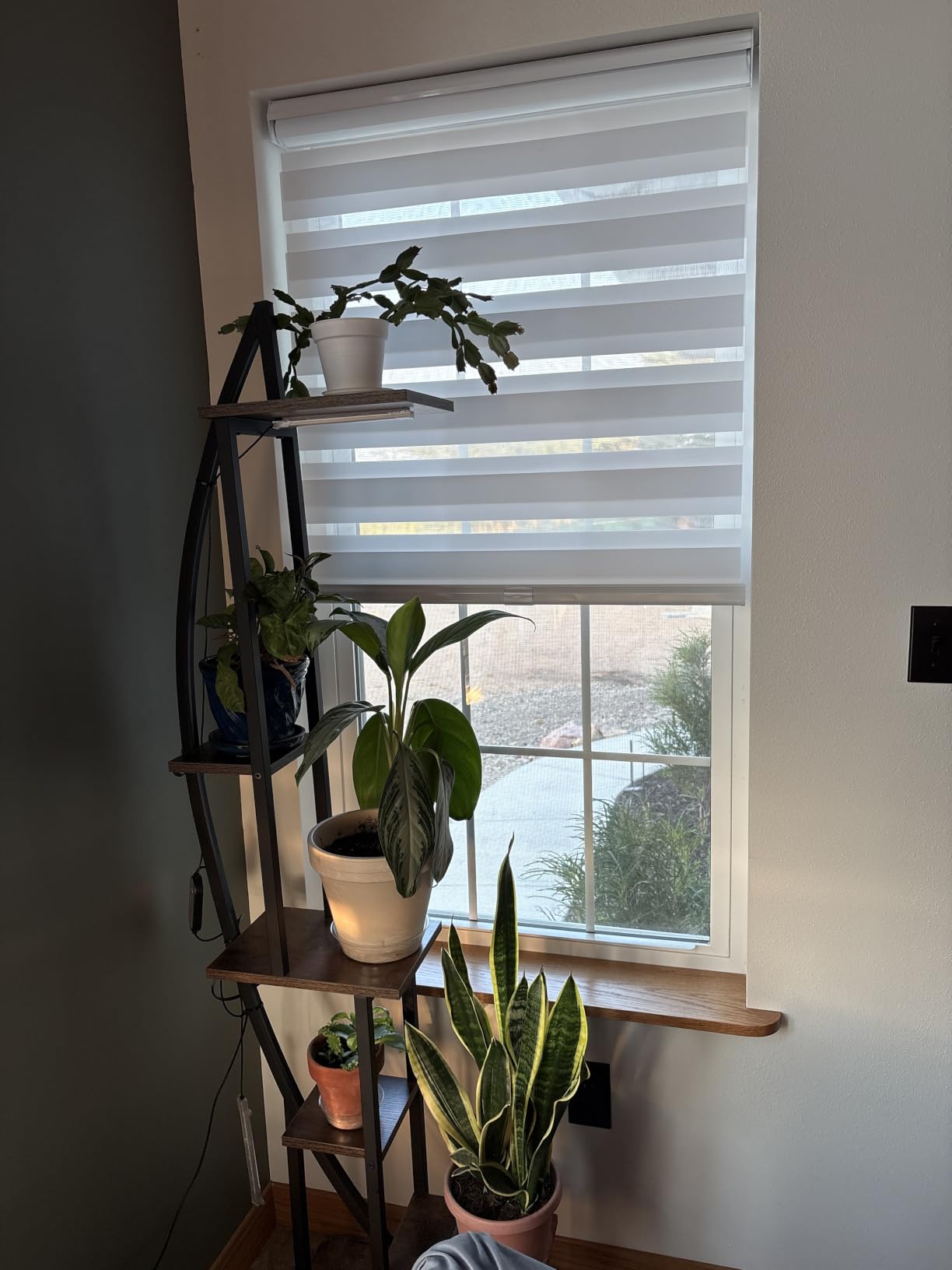 Persilux Cordless Zebra Blinds for Windows Free-Stop Window Blinds (34