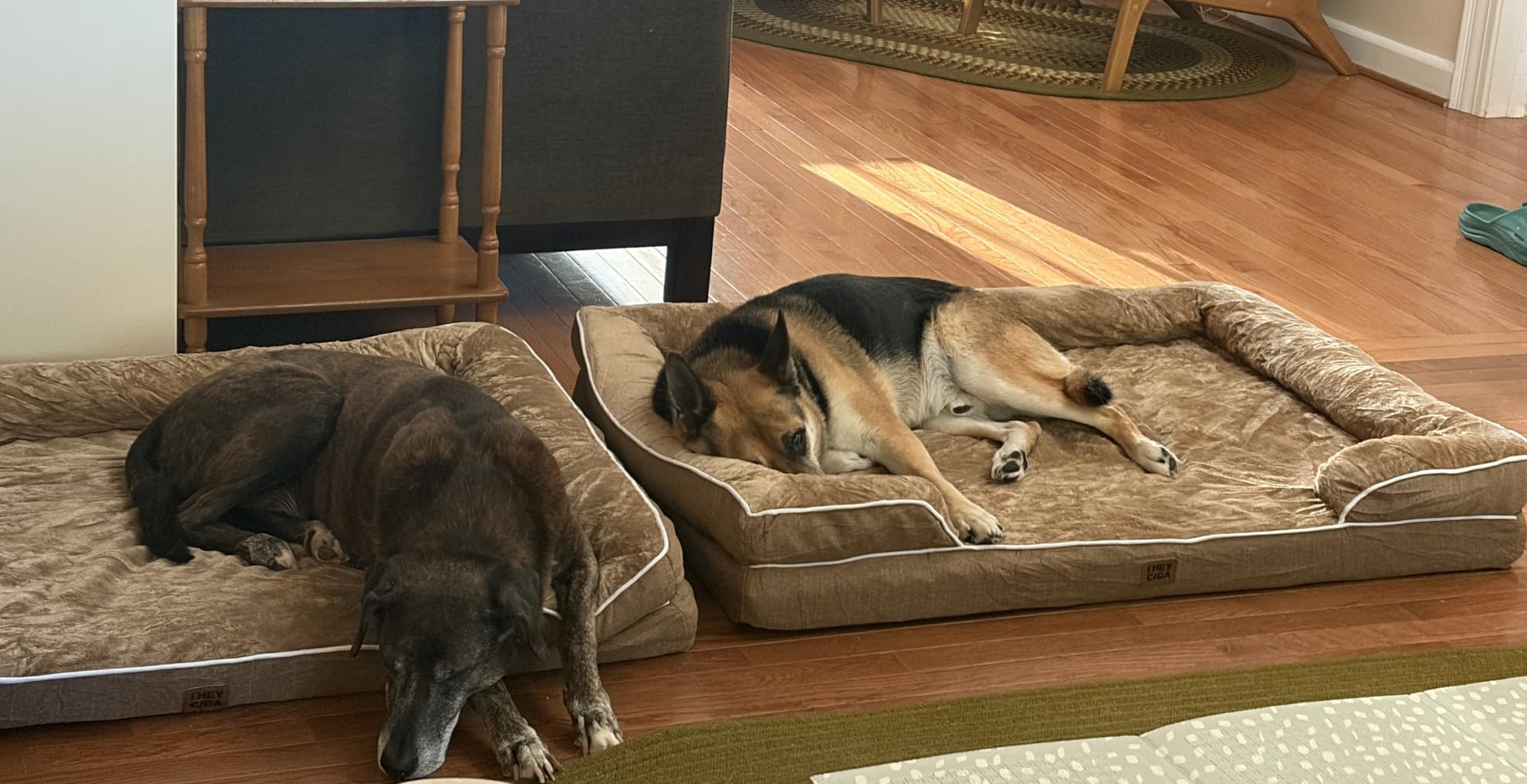 EHEYCIGA Orthopedic Dog Beds for Extra Large Dogs 44x32Inch, Polyurethane Foam XL Pet Bed with Sides, Non-Slip and Egg-Crate Foam Big Dog Couch Bed with Washable Removable Cover, Grey customer photo 1