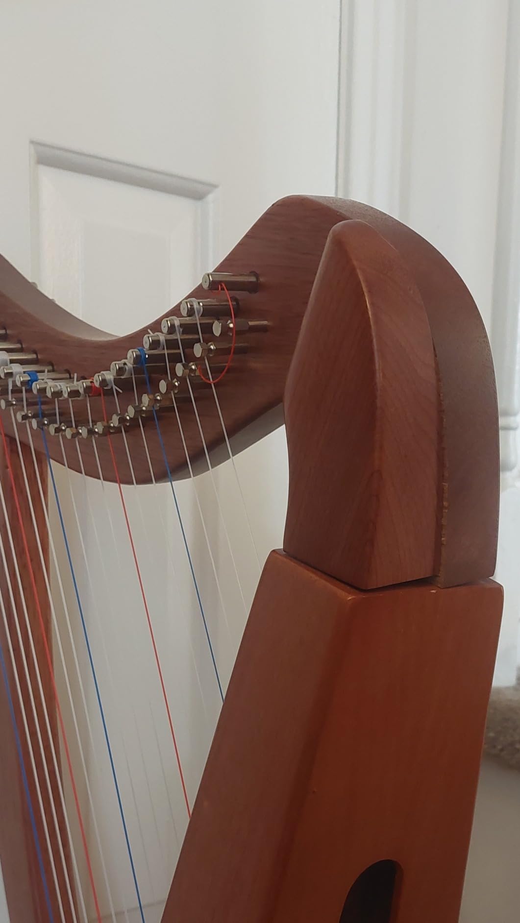 Lotkey Lyre Harps customer photo 2