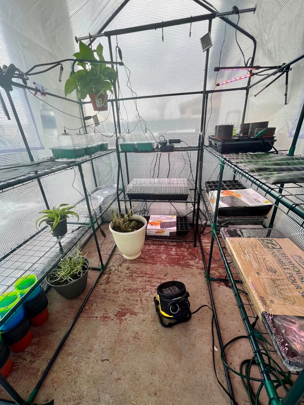 WORKPRO Greenhouse, 56'' x 56'' x 77'' Heavy Duty Walk-in Greenhouse for Outdoors with Screen Windows, Thickened PE Cover, 3 Tier 8 Shelves Portable Greenhouse Kit for Patio, Backyard and Porch customer photo 2