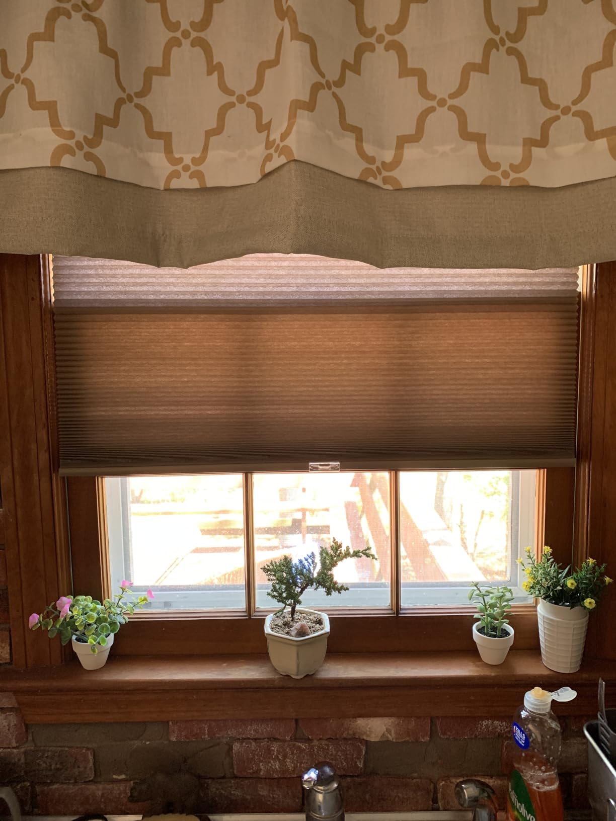 LazBlinds Cordless Cellular Shades, 34'' W x 36'' H, White customer photo 1