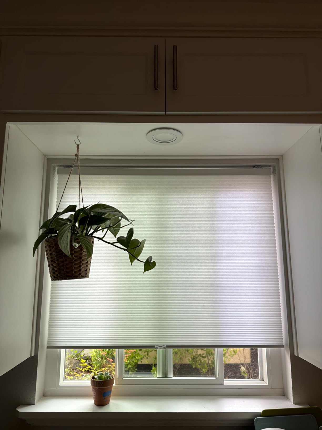 LazBlinds Cordless Cellular Shades, 34'' W x 36'' H, White customer photo 2