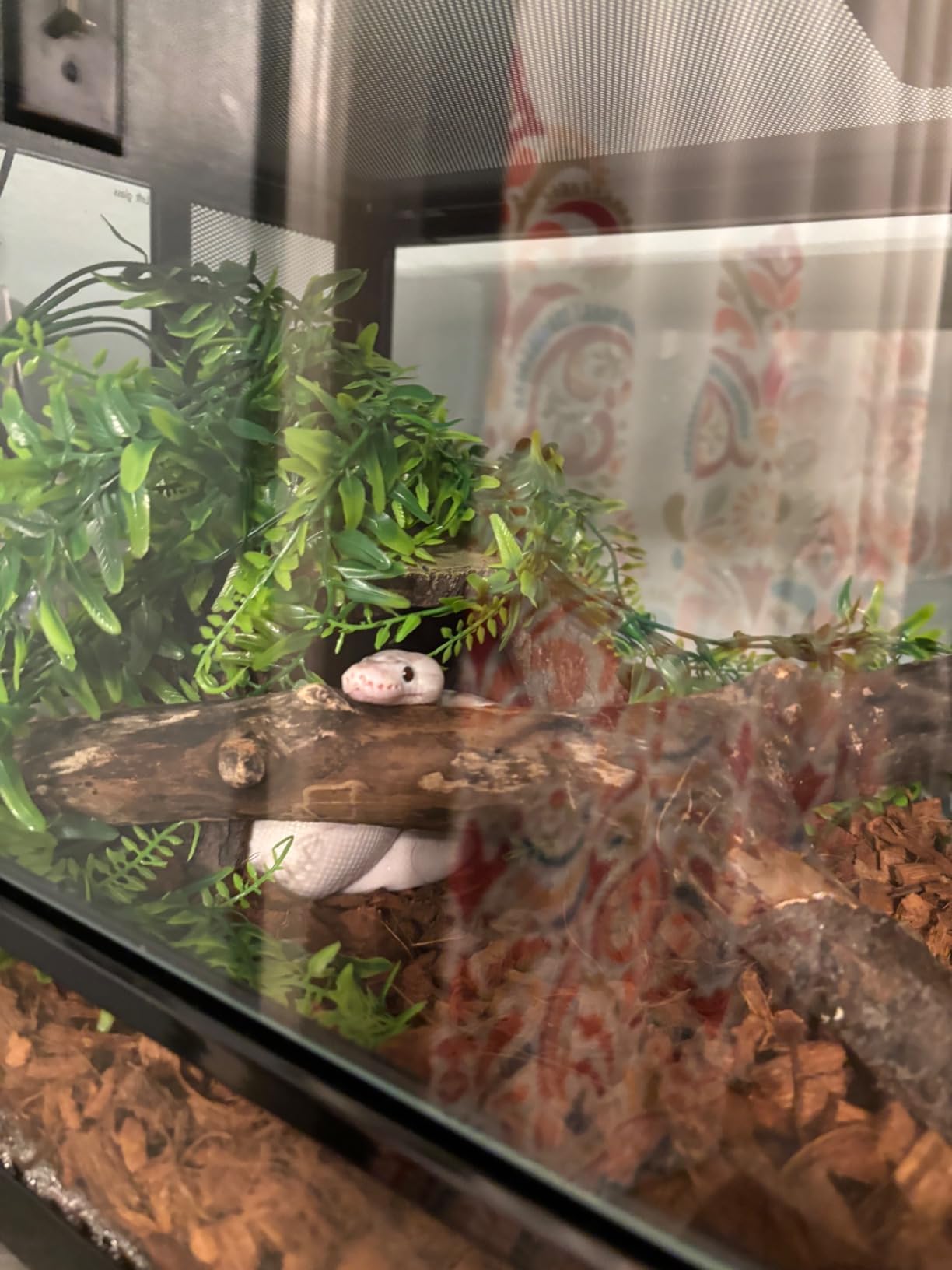 Zilla QuickBuild Reptile 65 Gallon Glass Terrarium Habitat with Sliding Door For Geckos, Snakes, Lizards, Frogs, Turtles, and Tortoises, 48
