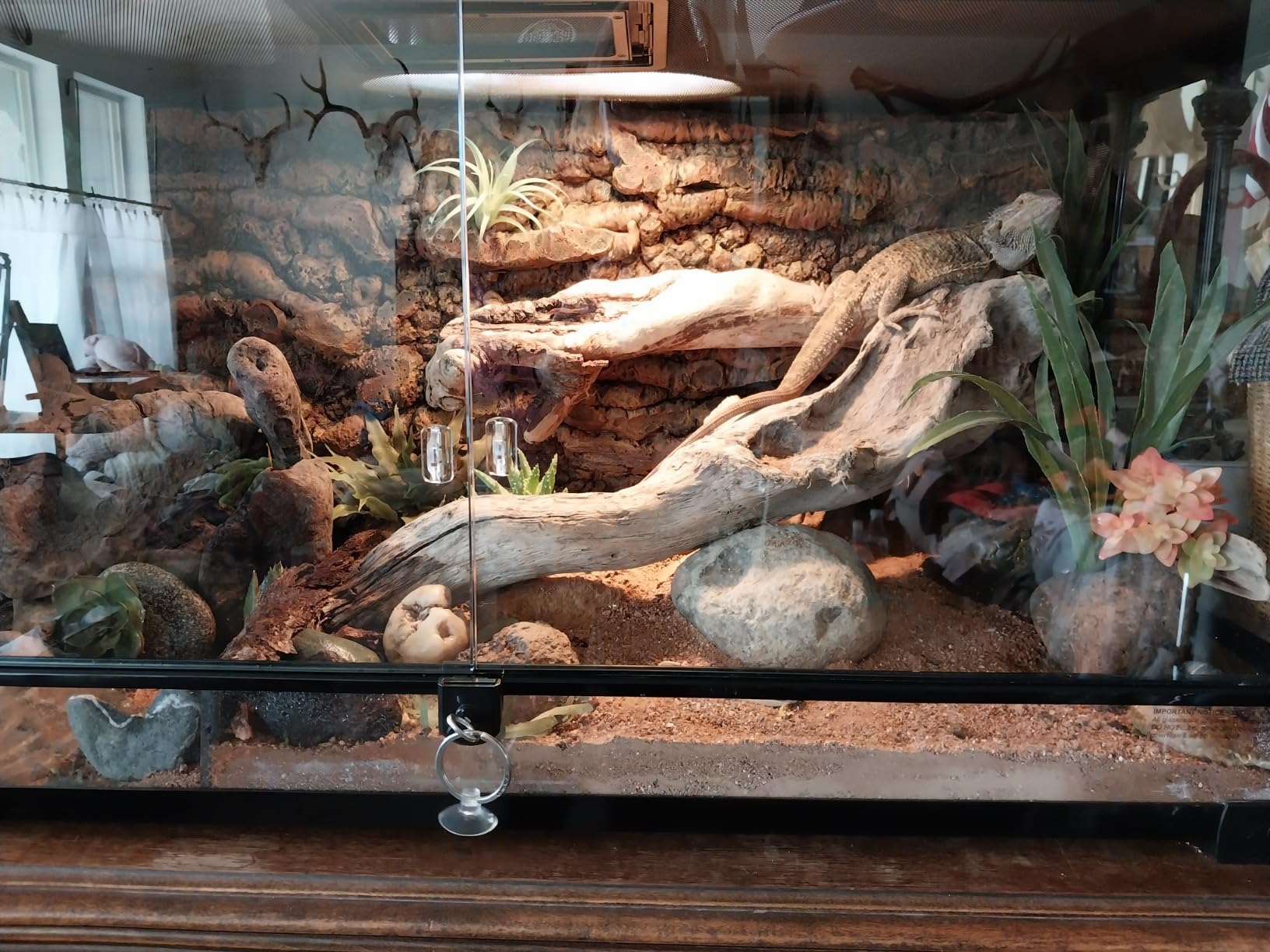 Zilla QuickBuild Reptile 65 Gallon Glass Terrarium Habitat with Sliding Door For Geckos, Snakes, Lizards, Frogs, Turtles, and Tortoises, 48