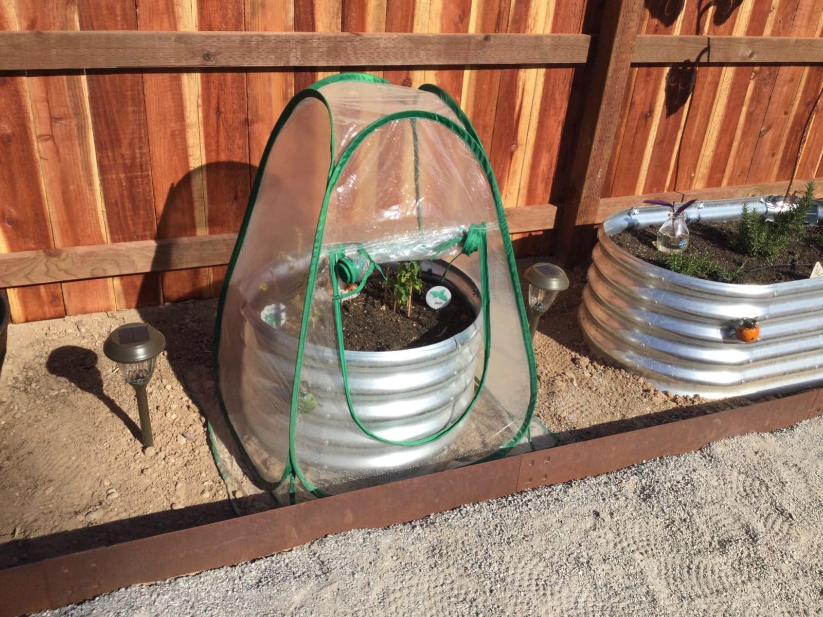 Lyellfe Pop Up Greenhouse Cover, PVC Mini Greenhouse with Nails | 28