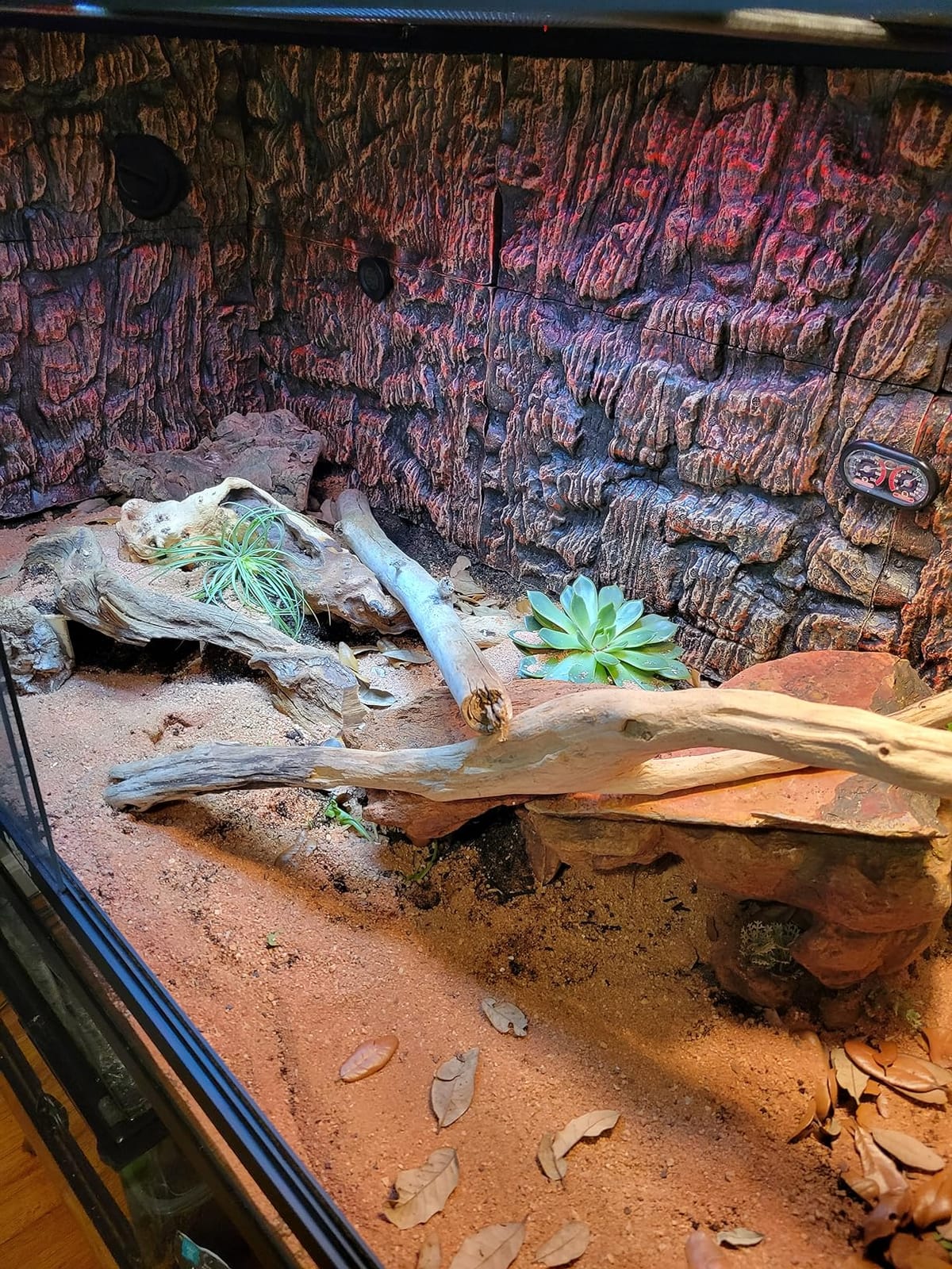 Reptile Habitats 4x2x2 (120 Gallon) Reptile Enclosure V3 PVC Panels, Glass Doors, Lightweight, Easy to Assemble, Heavy Duty Screen, Aluminum Frame customer photo 2