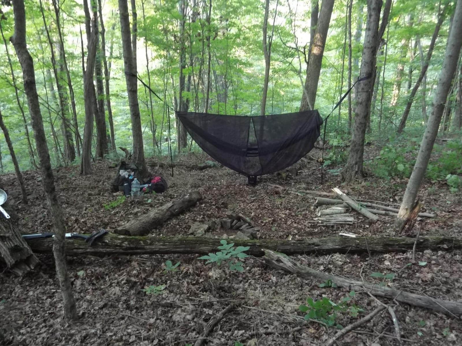ENO TravelNest Hammock & Straps Combo - Portable Hiking and Camping Hammock with Straps Included - Travel Hammock for Camping, Hiking, Backpacking, a Festival, or The Beach customer photo 2