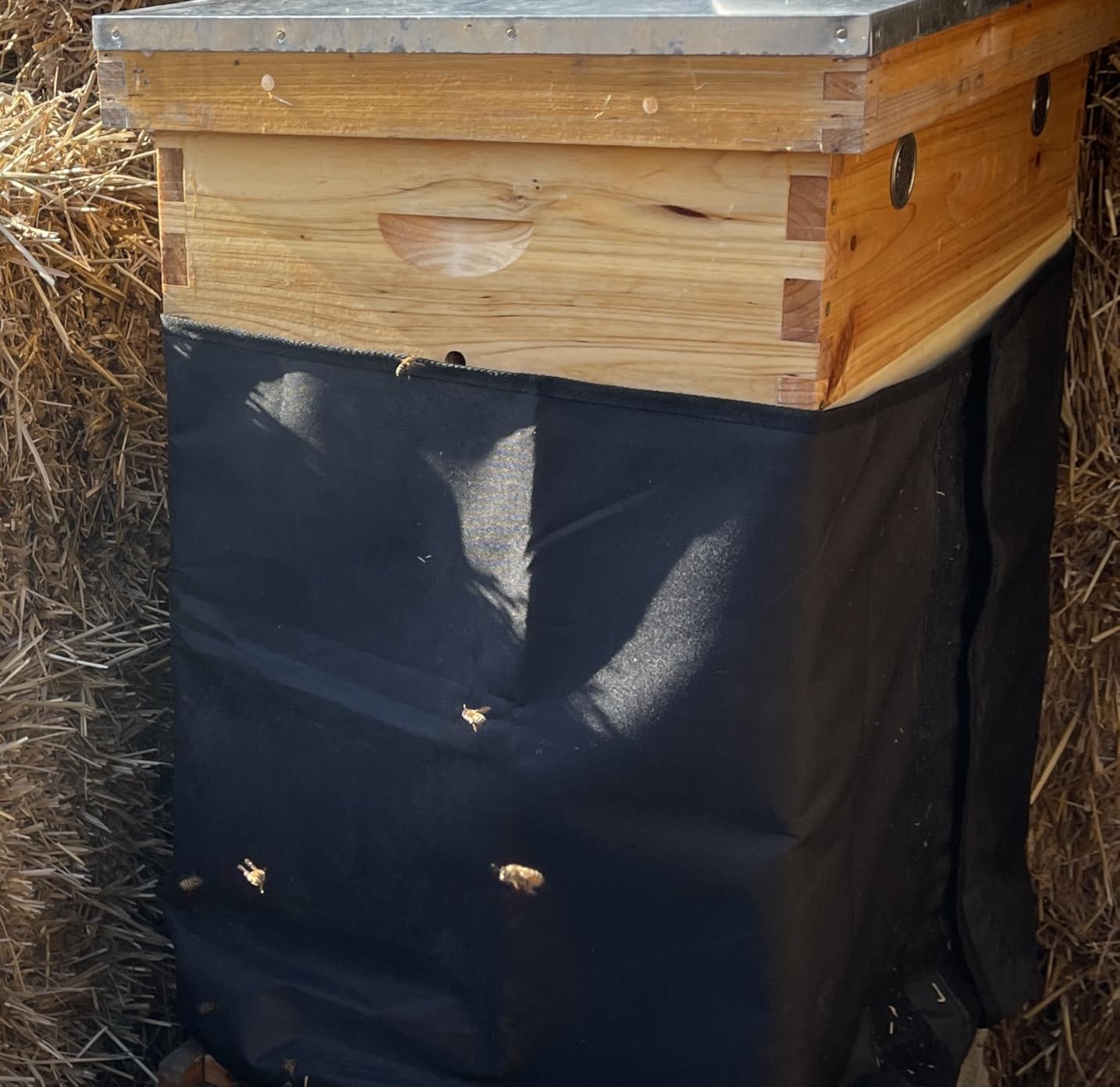 BeeCastle Bee Hive Quilt Box for Bees, Assembled Winter Quilt Box - Beekeeping Insulation & Ventilation, Fits 8 Frame Langstroth Beehives, Overwintering Beekeeping Supplies customer photo 1