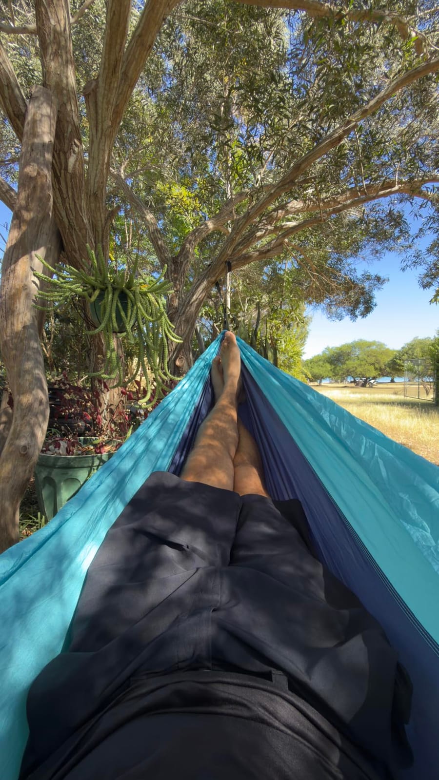 Wise Owl Outfitters Camping Hammock - up to 500lbs Portable Hammock with Tree Straps - Travel, Backpacking, Hiking, Outdoors Camping Gear - Single or Double customer photo 1