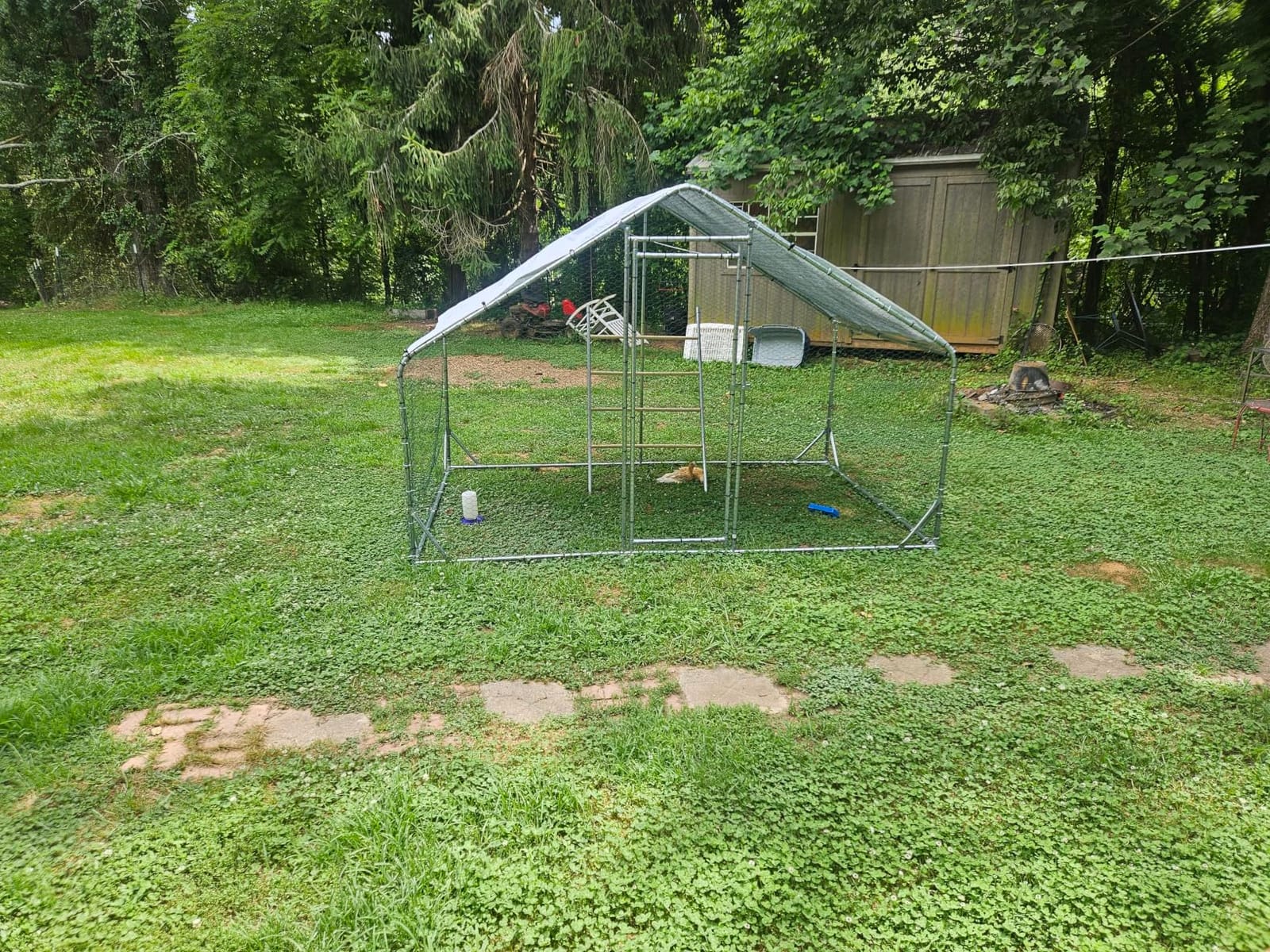 CHIKENCOOP 9.8 x 6.5 x 6.5 ft Metal Chicken Coop, Chicken Run with Cover | Walk-in outdoor enclosure with waterproof UV-resistant cover, reinforced frame, and 47 x 40 in eucalyptus perch customer photo 2