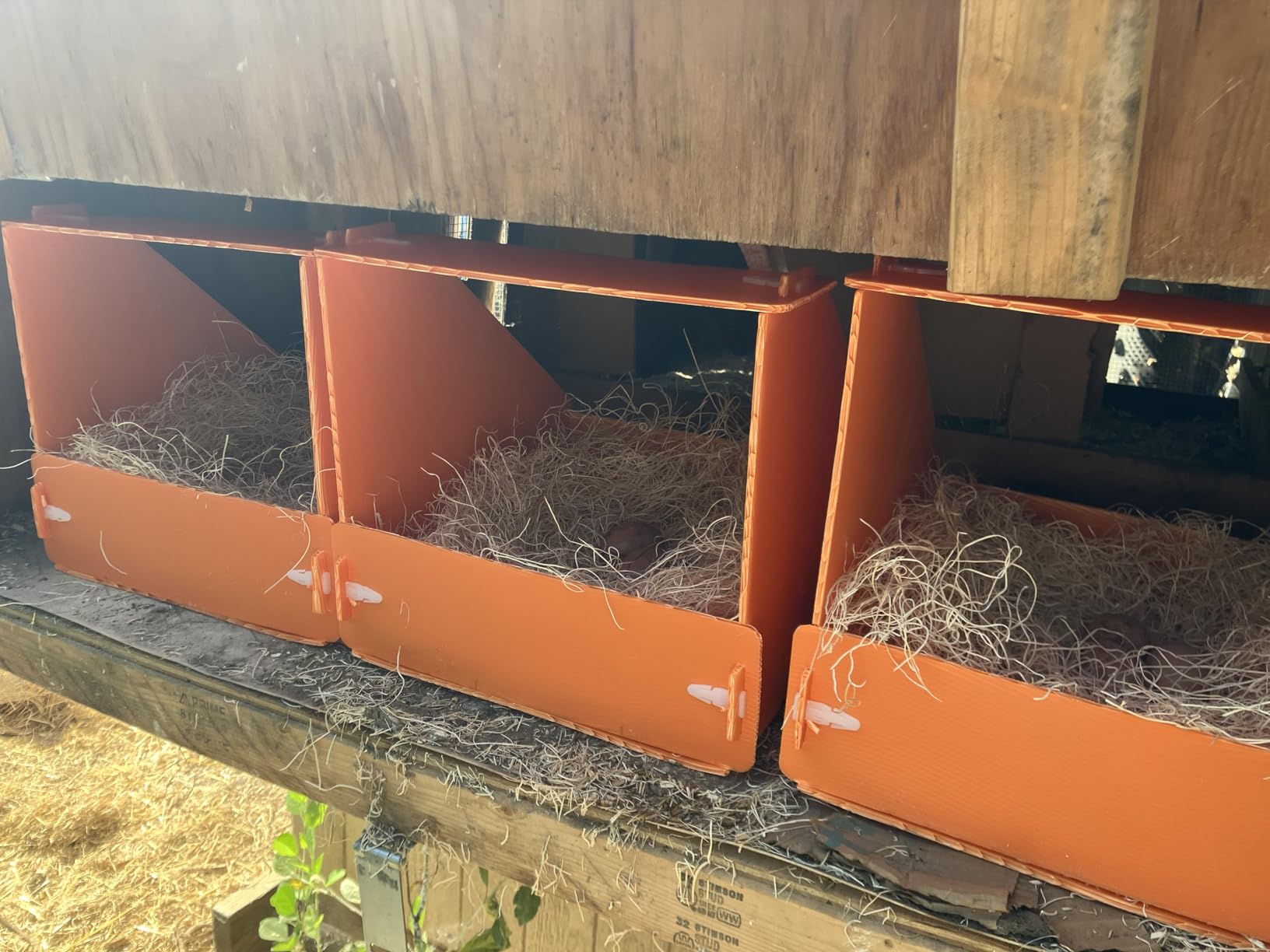 Touri 3 Pcs Chicken Nesting Boxes, Durable | for Laying Eggs for Hens Ducks and Poultry, Orange customer photo 1
