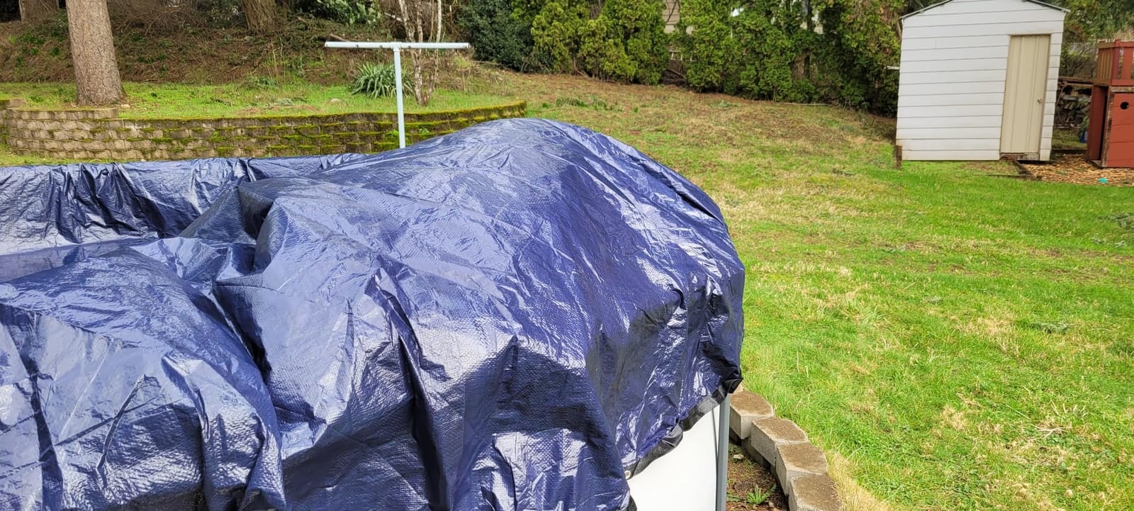 24 ft Round Pool Cover for Above Ground Pools, Above Ground Pool Cover, Swimming Pool Cover, Winter Pool Cover, Keeps Out Debris, Cold and UV Resistant, Supreme Mesh, Navy Blue customer photo 1
