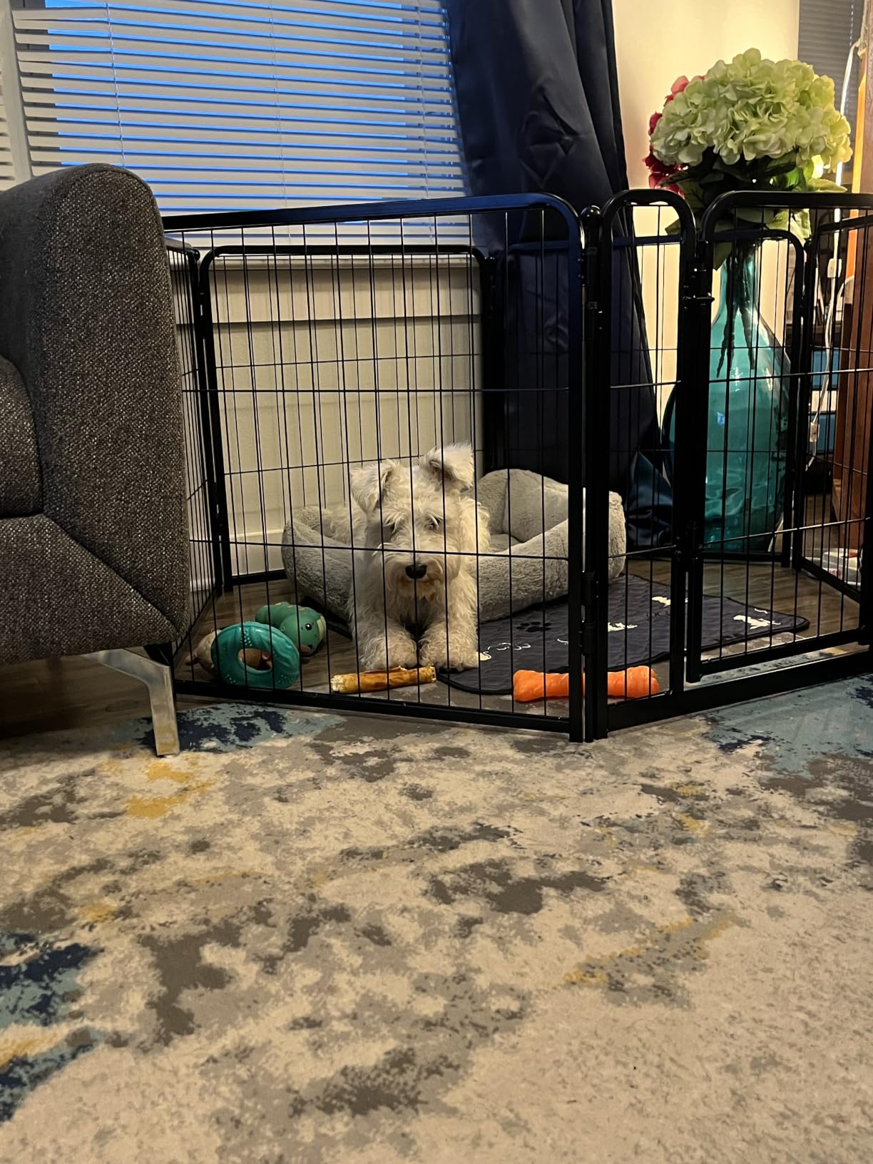 FXW Homeplus Unleashed Indoor Dog Playpen - Stress-Free and Safe Play, Heavy Duty 24 Inch 6 Panels Dog Pen for Puppy and Small Dogs, Black customer photo 1