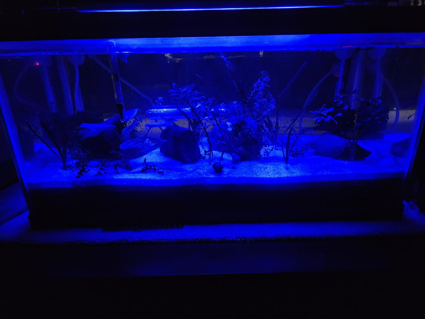 NICREW C10 Plants LED Aquarium Light, 18-24 in, 13 Watts, Full Spectrum Fish Tank Light with Timer, Day and Night Cycle, Brightness Adjustable customer photo 2
