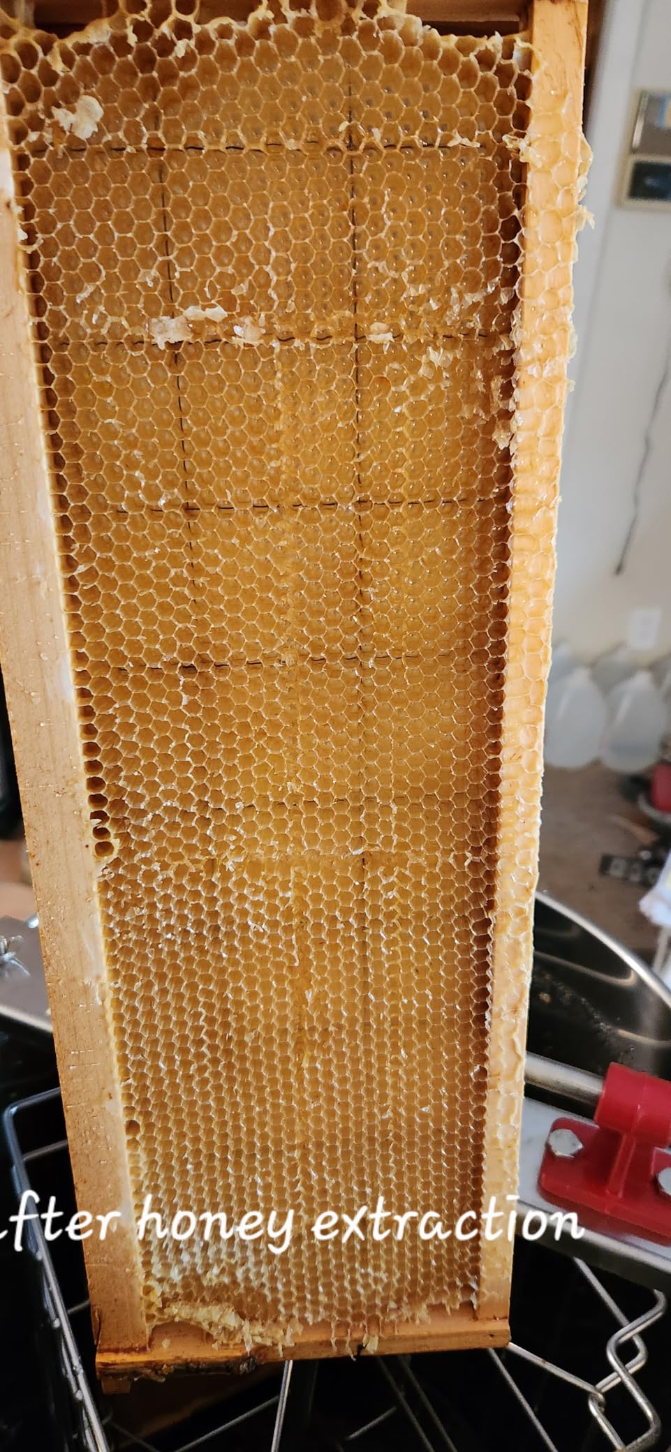 VEVOR 2/4 Frame Manual Honey Extractor Stainless Steel Extraction Equipment with Hand Crank, Clear Lid and Height Adjustable Stand, Honey Extractor for Beginner Backyard Beekeeping, Small Apiaries customer photo 1