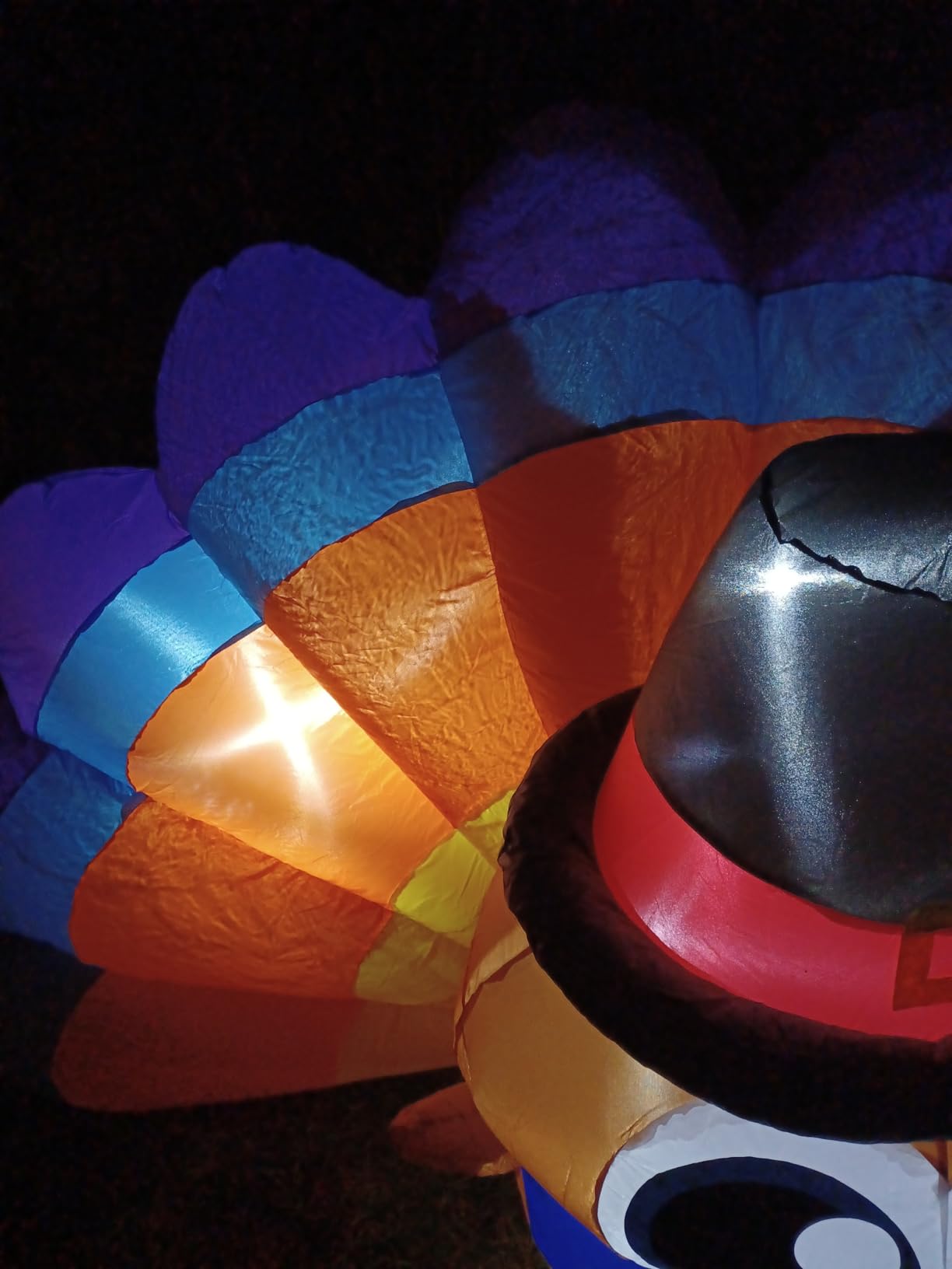 6FT Thanksgiving Inflatables Outdoor Decoration Inflatable Turkey, Built in LED Lights Blow Up Yard Decorations for Fall Holiday Party Garden Lawn Décor customer photo 1