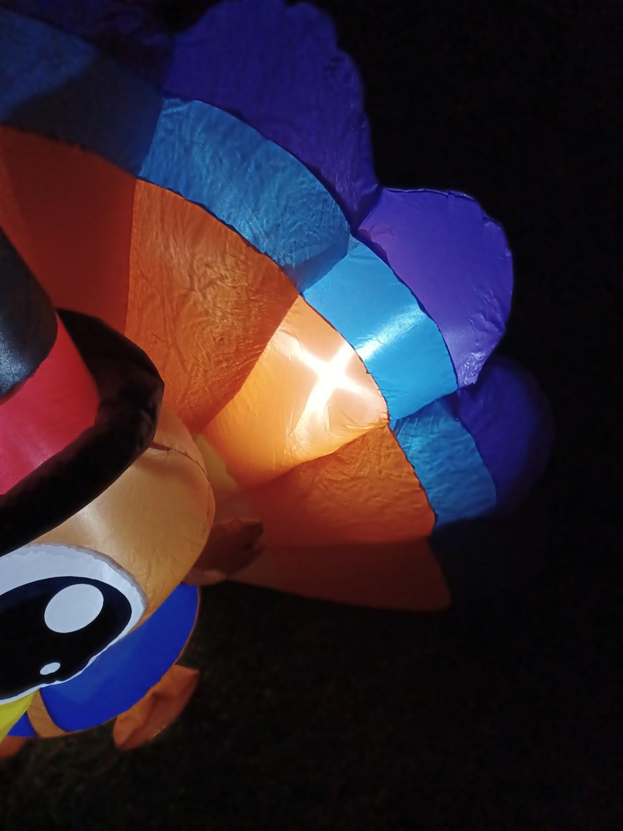 6FT Thanksgiving Inflatables Outdoor Decoration Inflatable Turkey, Built in LED Lights Blow Up Yard Decorations for Fall Holiday Party Garden Lawn Décor customer photo 2