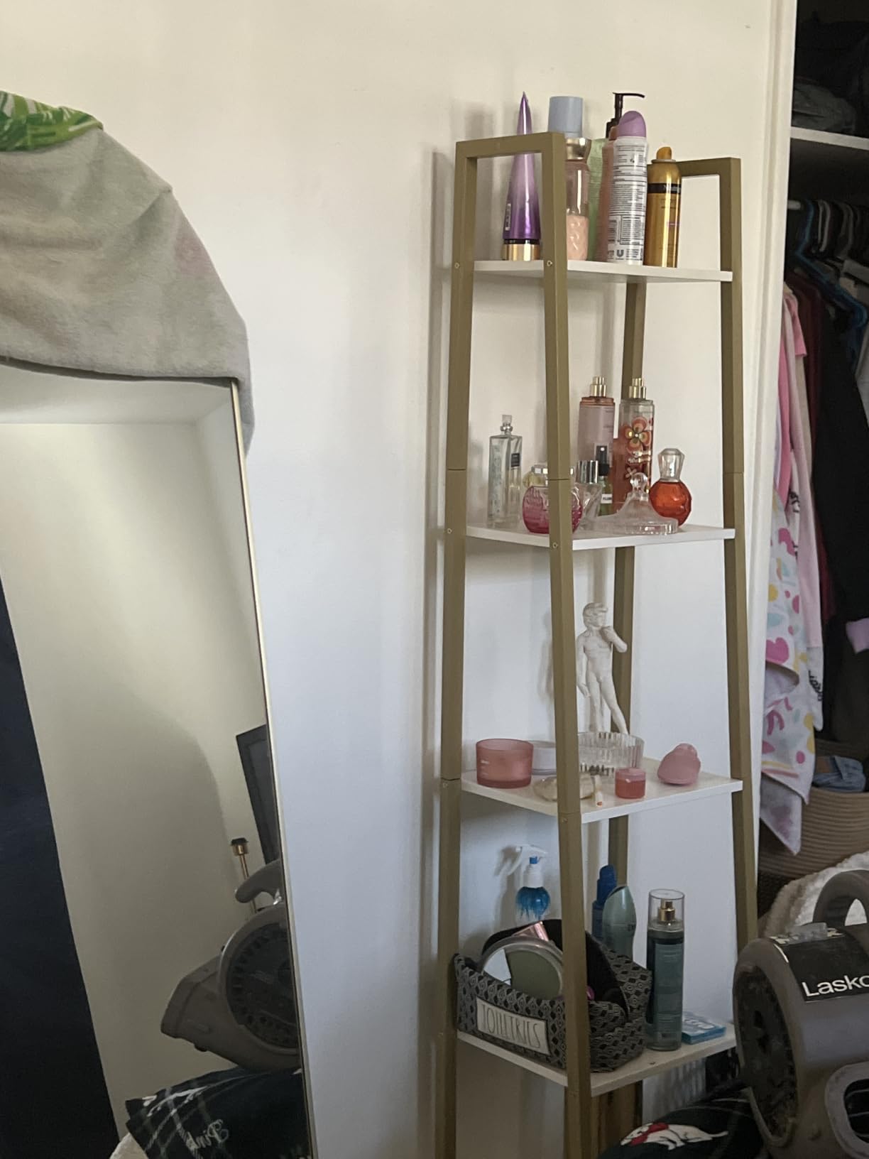 Hzuaneri Ladder Shelf, Bookshelf Bookcase, Freestanding Corner Storage Shelve with 2 Hooks for Home Office, Living Room, Kitchen, Bedroom, Industrial, 11.8