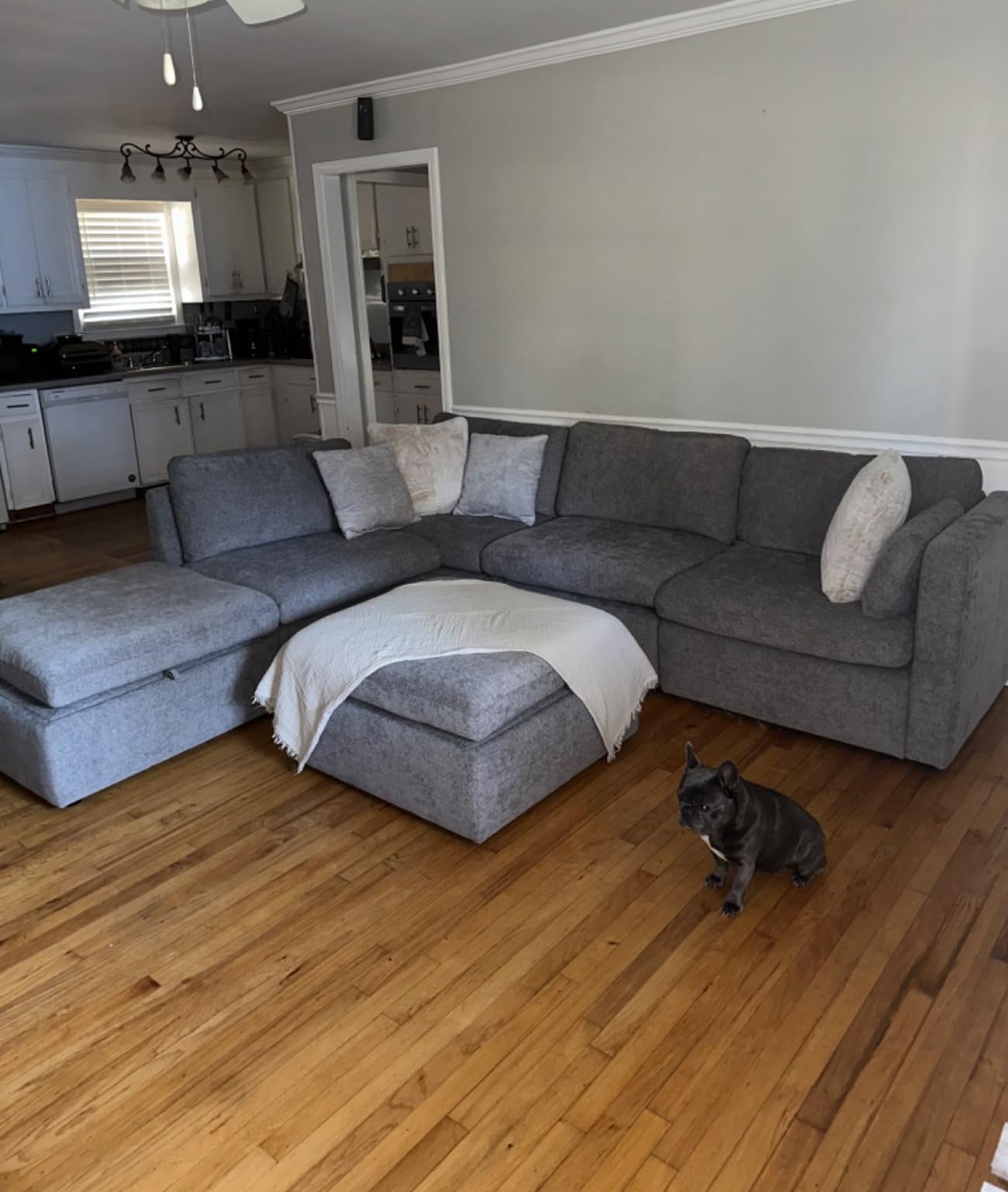 CHITA 146 inch Modular Sectional Sofa customer photo 2