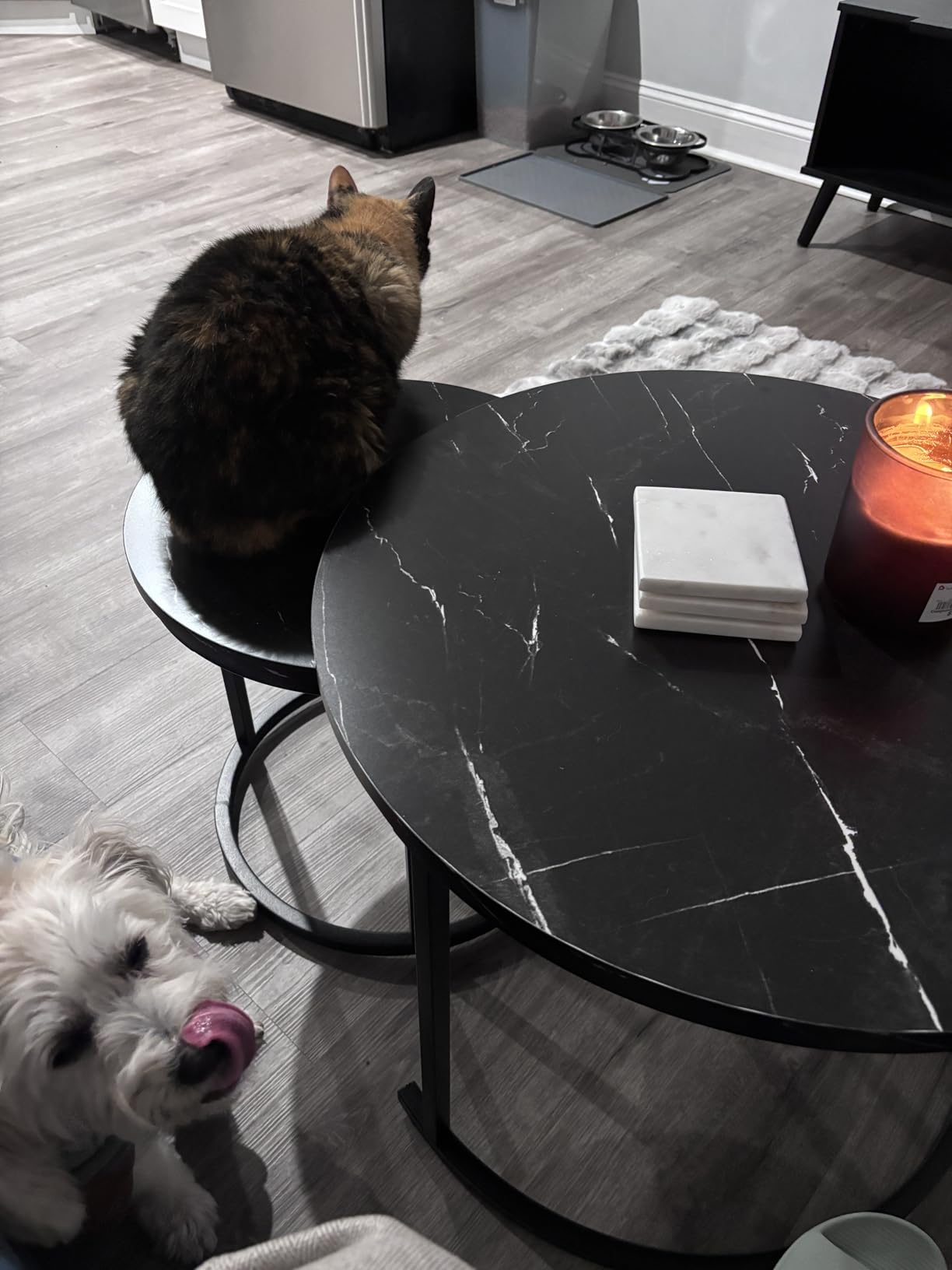 aboxoo Round Nesting Coffee Table Side Table Set of 2 End Tables for Living Room Bedroom Balcony, White Faux Marble Wooden Table Accent Coffee Table with Black Steel Frame customer photo 2