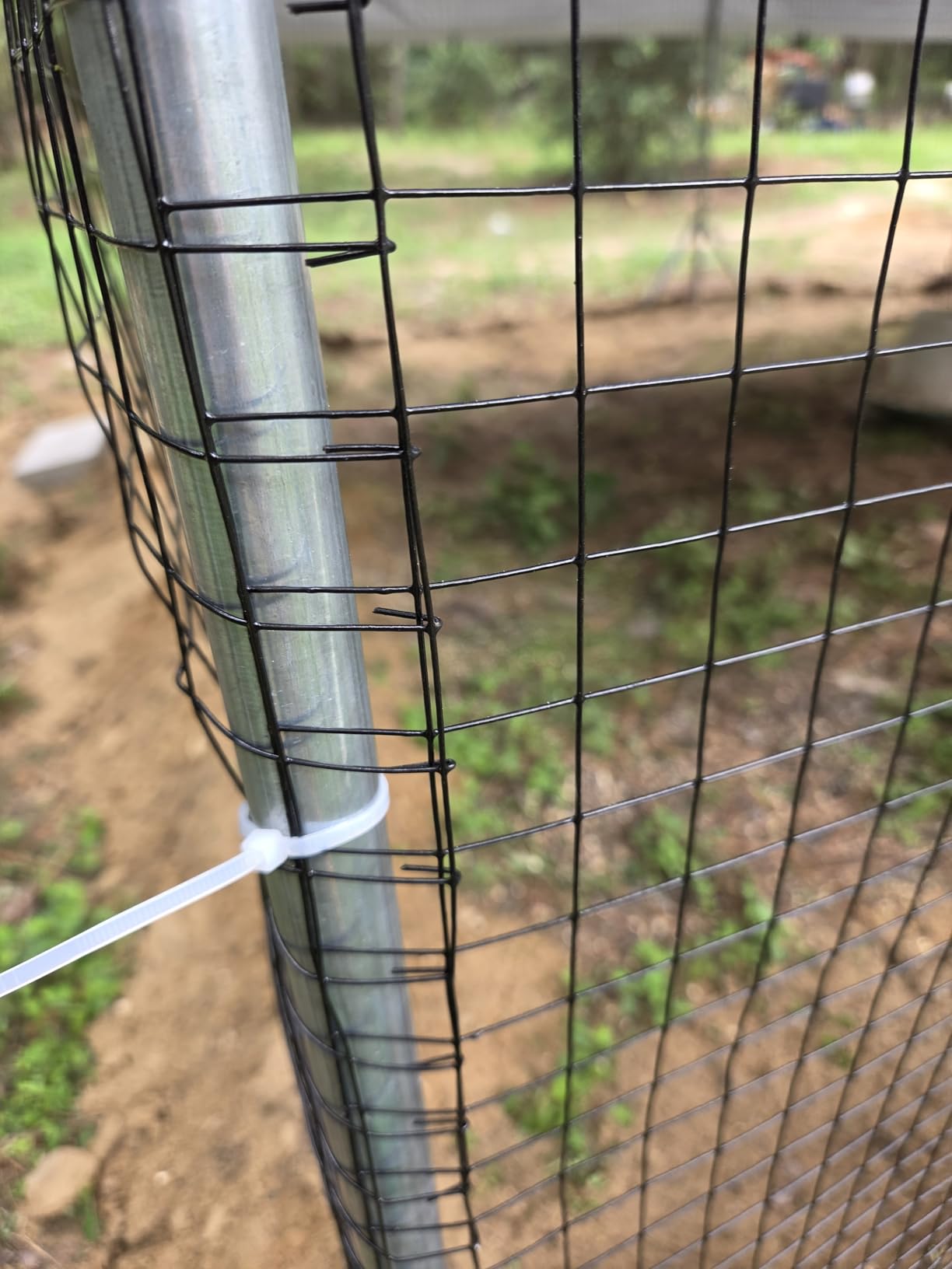 CHIKENCOOP 19.5x9.8x6.5ft Metal Chicken Coop, 3-Room Run, Hardware Cloth | Three-room walk-in run with hardware cloth, full-top waterproof UV-resistant cover, 3-mode solar light, and center perches customer photo 1