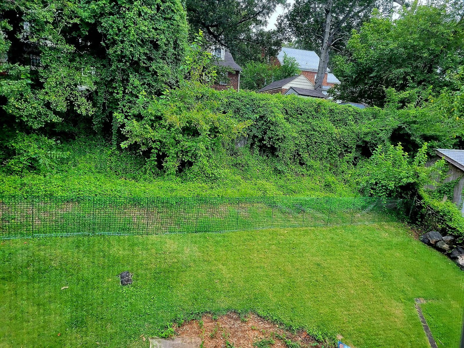 PotatoLife 4'x100' Plastic Mesh Safety Fence with 100 Zip Ties, Orange | Reusable HDPE mesh fence, temporary outdoor barrier customer photo 1