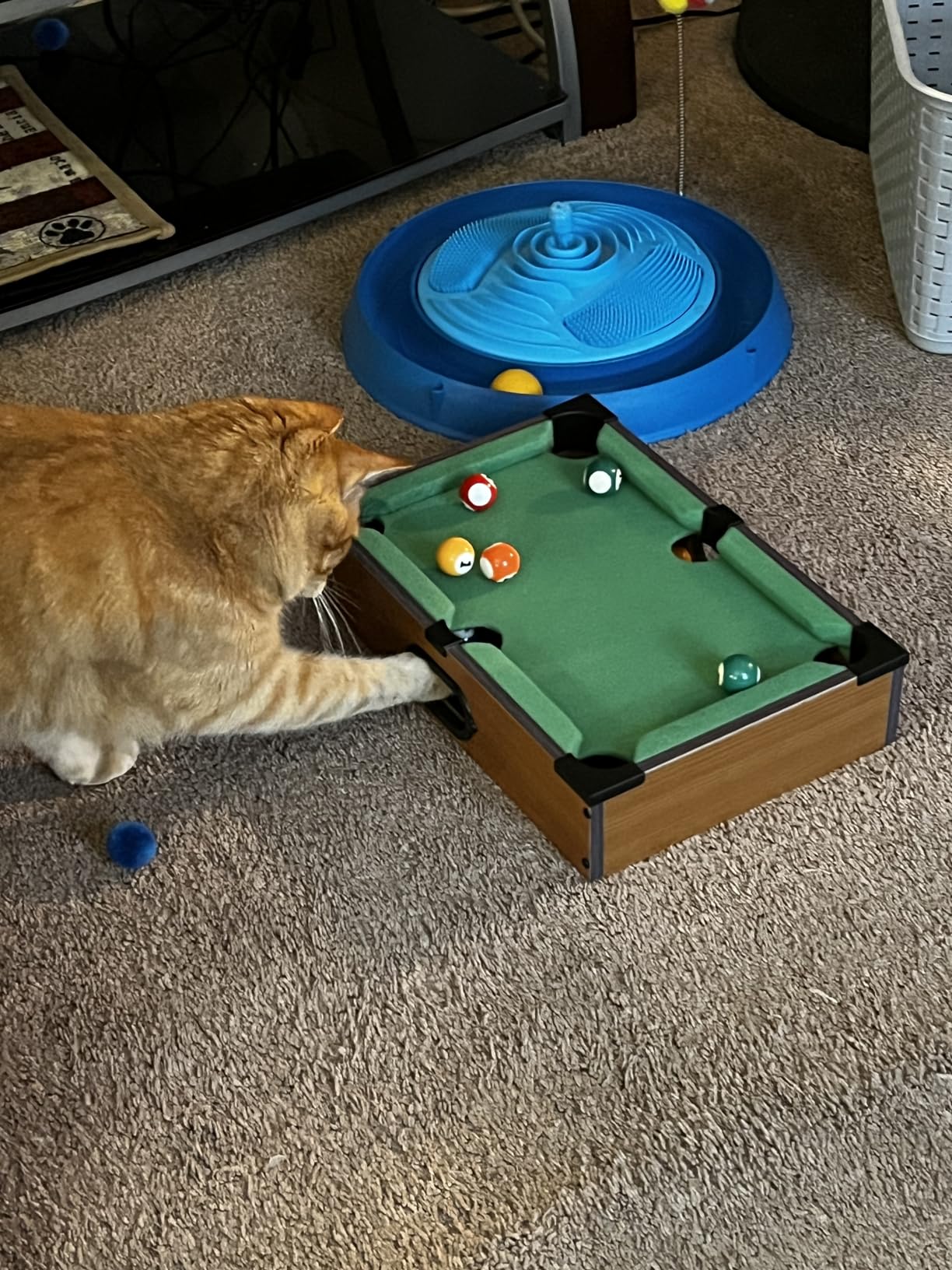 Mini Pool Table for Kids Small Billiards Game Table Top Pool Table Toy for Cat Gift for Kids Cat Pool Table Toy customer photo 1