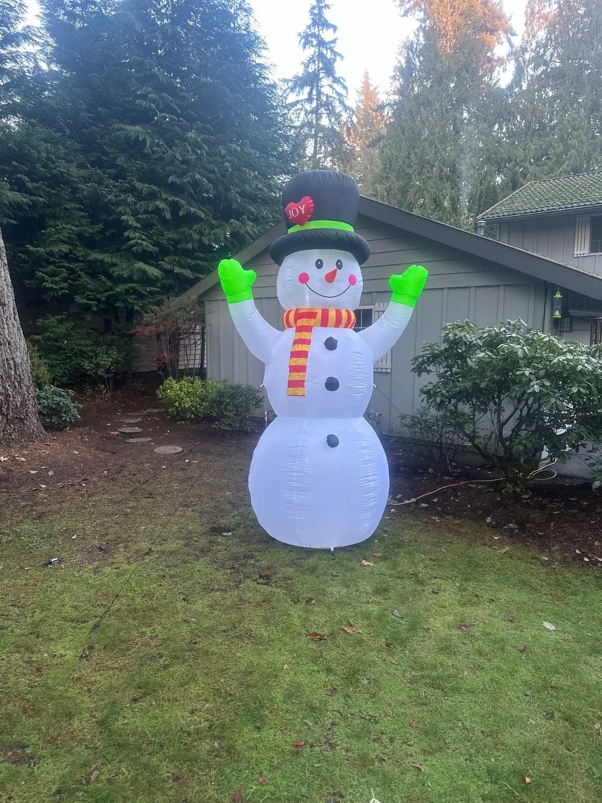 10 FT Christmas Inflatables Snowman Outdoor Yard Decorations, Giant Blow Up Snowman, Built-in Bright LED Lights, Huge Xmas Blowups Snow Man Outside Holiday Decor for Garden Patio Porch Lawn Home Party customer photo 1