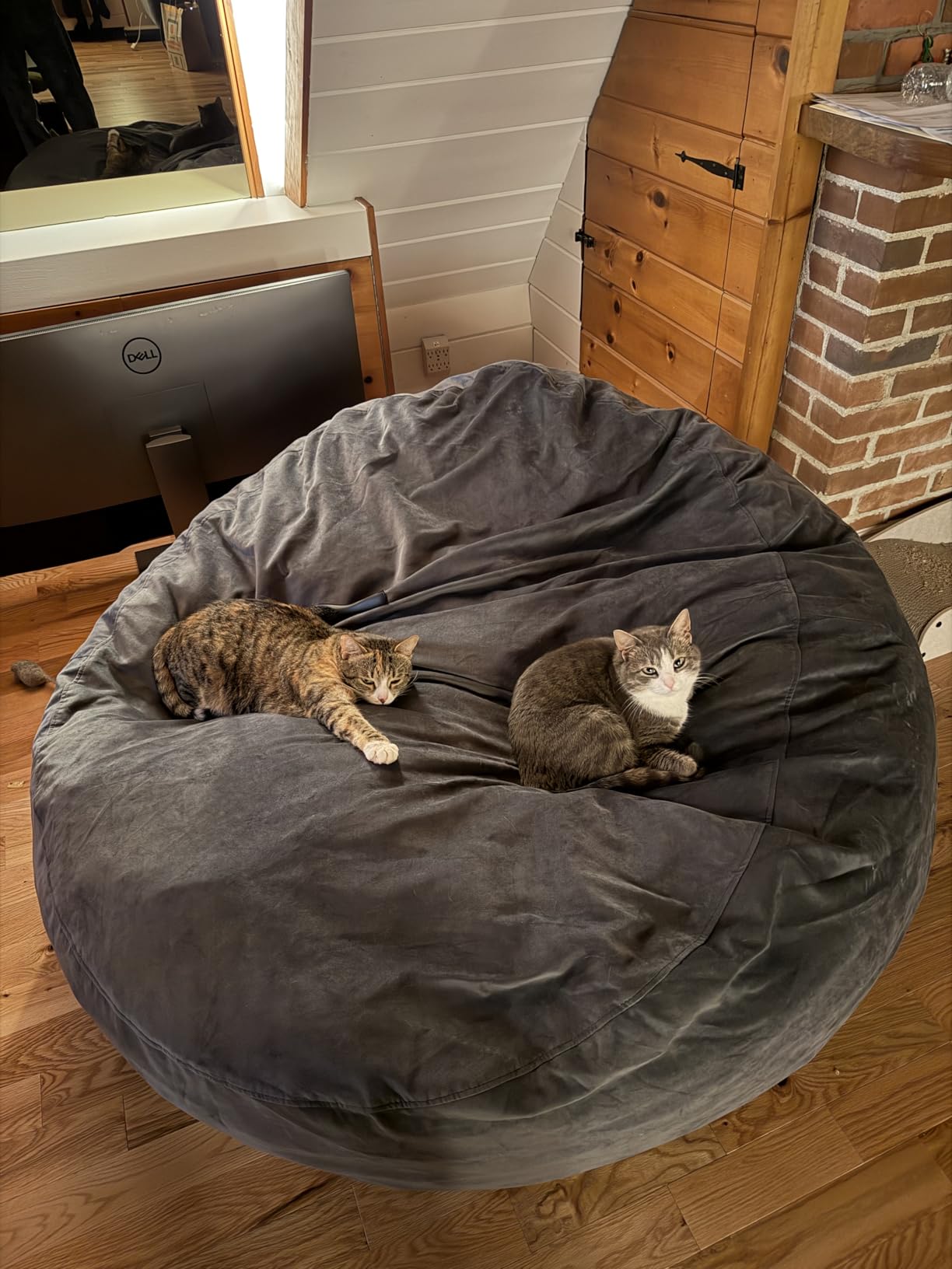 Codi Bean Bag Chair with Filler Included, 4 FT - Comfy Large Beanbag Chairs for Adults - Machine Washable and Soft Mink Bonded Cover - Charcoal Grey, 4ft customer photo 1