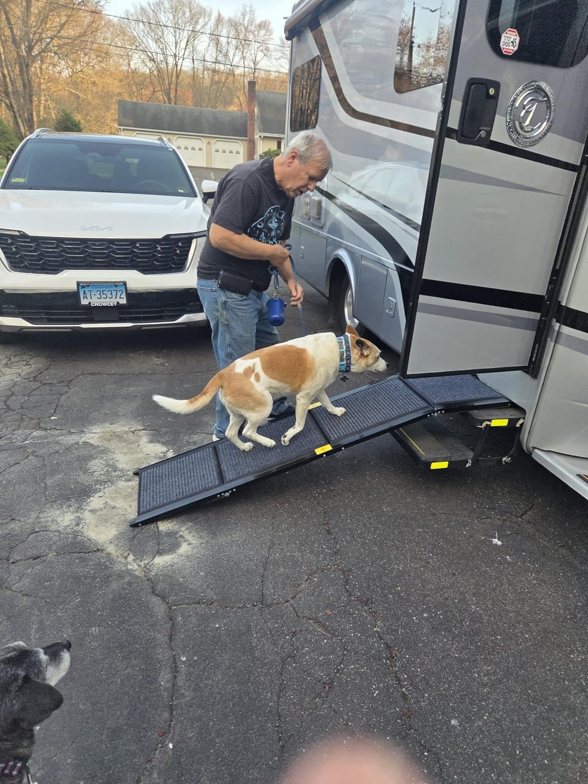Dog Ramp for Car 63
