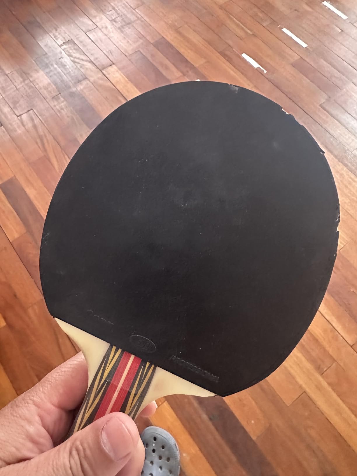 Penn 5.0 Professional Ping Pong customer photo 1