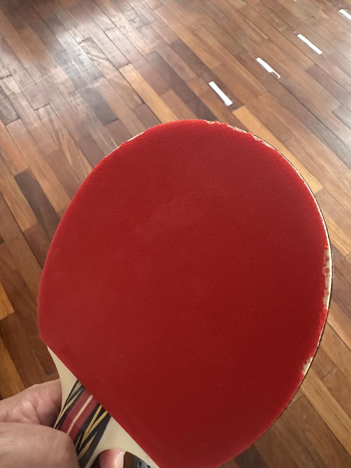 Penn 5.0 Professional Ping Pong customer photo 2