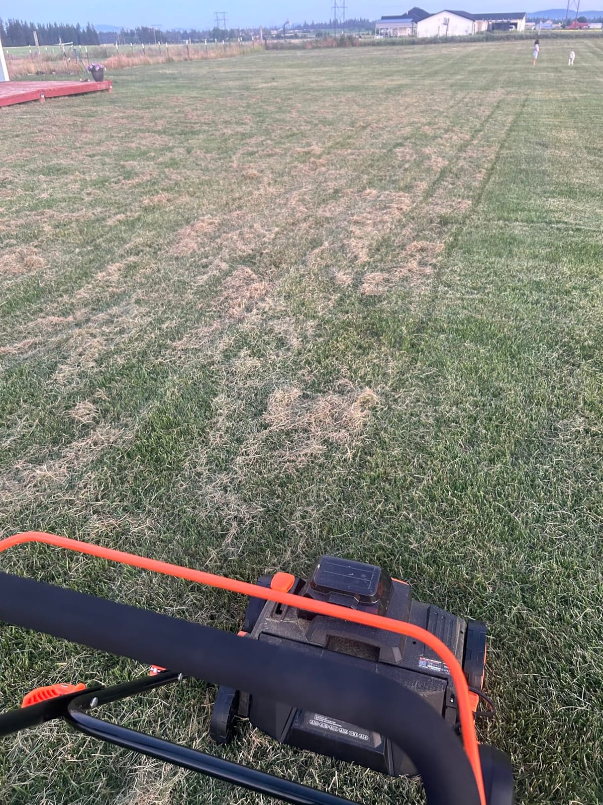 WEN 20V Max Cordless 15-Inch 2-in-1 Brushless Electric Dethatcher and Scarifier with Collection Bag, Two 4.0 Ah Batteries, and Dual-Port Charger (20716) customer photo 1