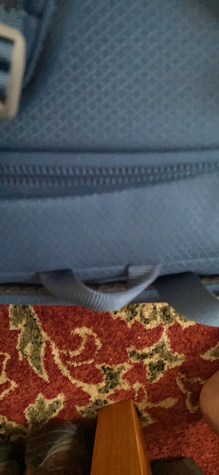 Daylite Duffel Backpack - Convertible Everyday Duffel Bag for Gym, Commute, and Travel customer photo 1