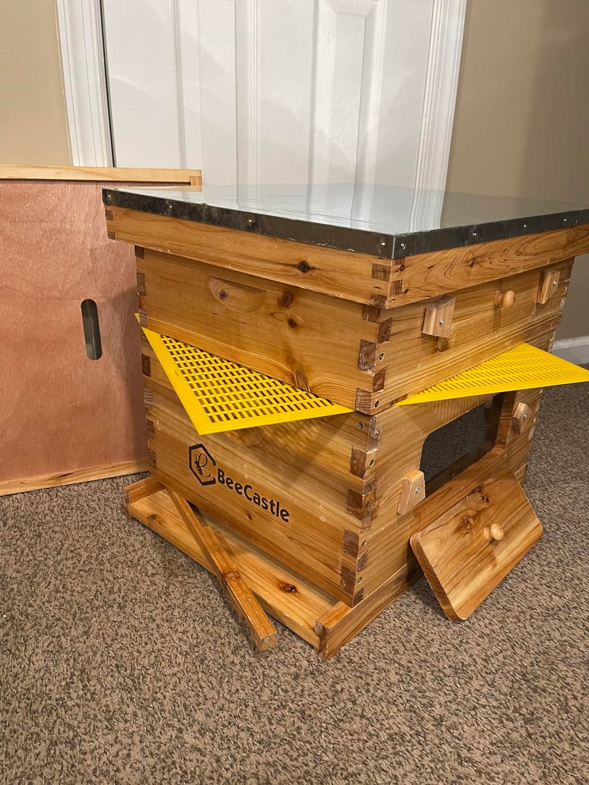 BeeCastle 10-Frame Langstroth Beehive with Windows, Beeswaxed Coated Bee Hive for Beginners with Beehive Frames and Waxed Foundations (2 Deep Bee Boxes & 1 Medium Super Bee Box) customer photo 2