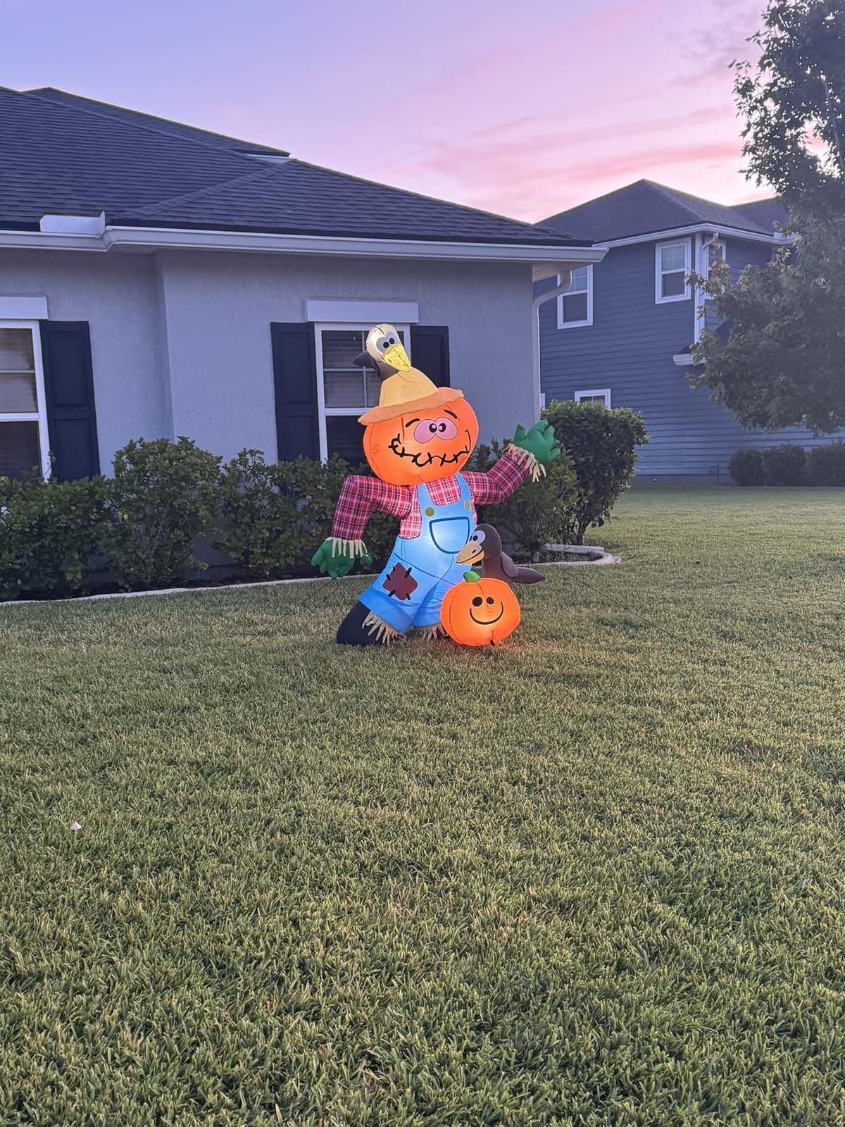 COMIN 6FT Thanksgiving Inflatables Fall Harvest Scarecrow Outdoor Decor | Built-in LEDs and fall harvest scarecrow with crows and pumpkin for Thanksgiving lawn, garden, porch and party displays customer photo 1