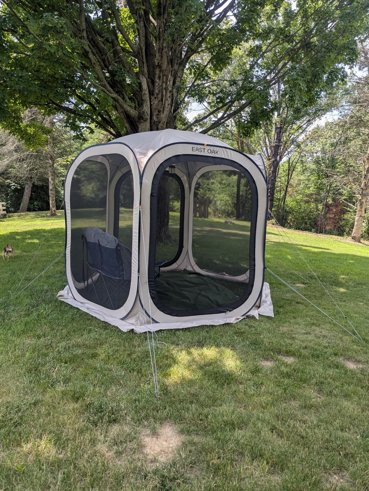 East Oak Pop up Screen Tent with Mosquito Netting, Portable Screen House Canopy Shelter, 6 x 6 FT Instant Screen Gazebo & UPF 50+ UV Protection for Patio, Backyard, Deck & Outdoor Activities, Beige customer photo 2