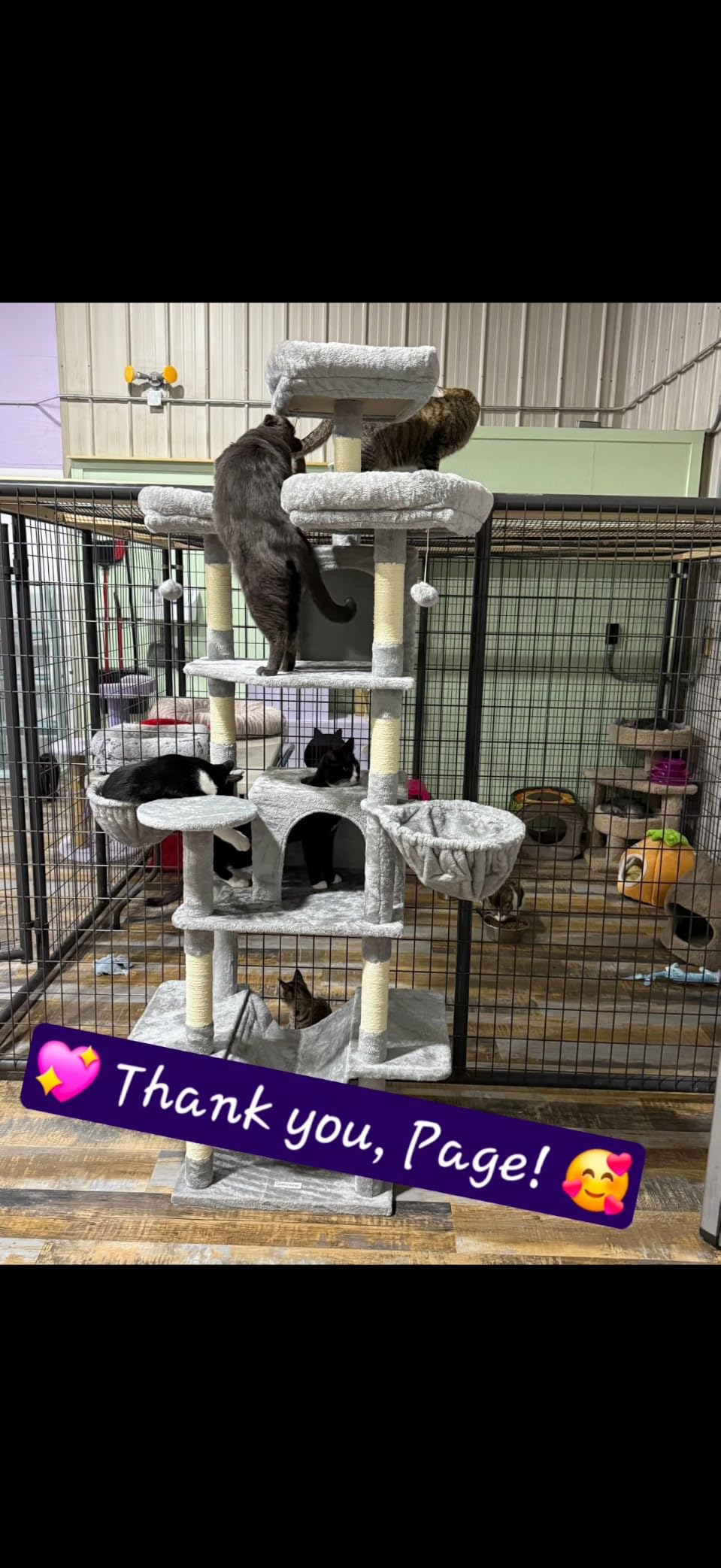 Globlazer Big Cat Tower for Indoor Cats, 80inch Cat Tower for Multiple Adult Cats XXL Cat Tree with Scratching Post, Hammock, 3 Perches, 2 Condos, 2 Hanging Basket, F80, Dark Grey customer photo 2