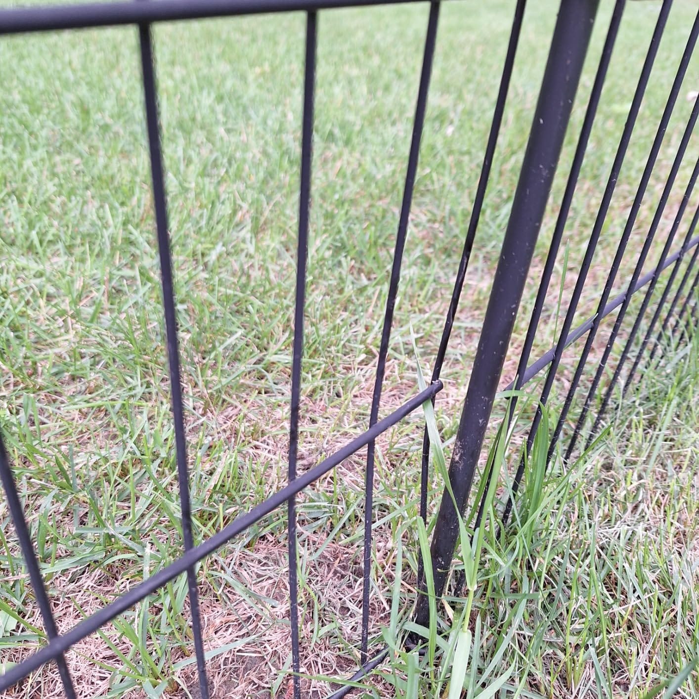 No Dig Garden Fence Outdoor for Yard, 40in (H) x 23.6ft(L) | 10 Panels with Gate Animal Barrier Fence, Rustproof Metal Temporary Dog Fence, Decorative Fencing for Patio, Flower Bed customer photo 1