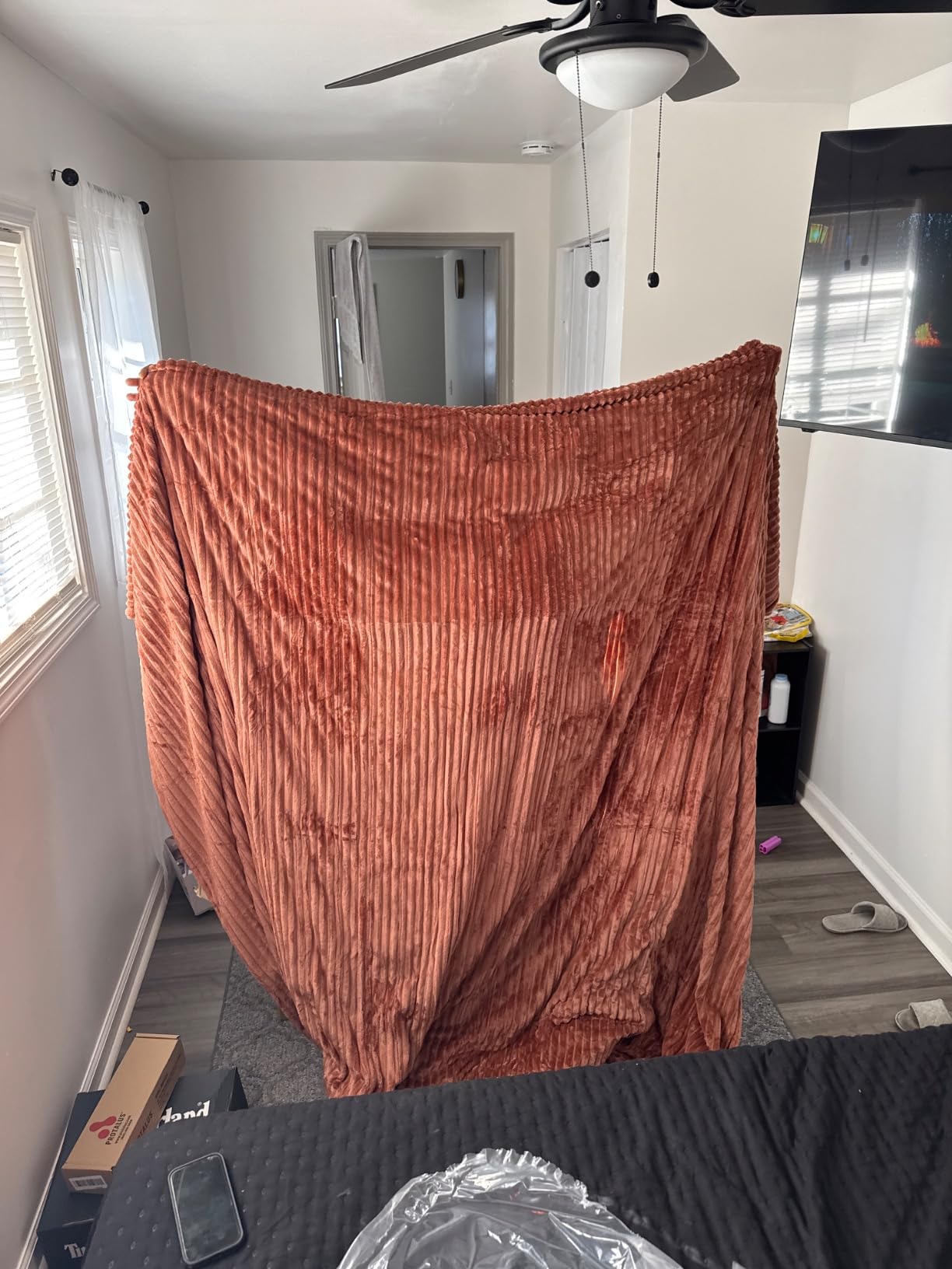 Heated Blanket 50x60