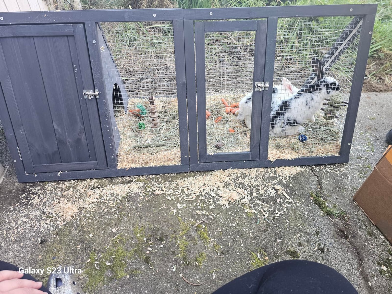 Rabbit Hutch, Small A-Frame Chicken Coop Outdoor w/ 2 Door & Run Cage (Wood) - Wooden Triangle Quail Hutch w/ Ventilating Wire Poultry Hutch customer photo 2