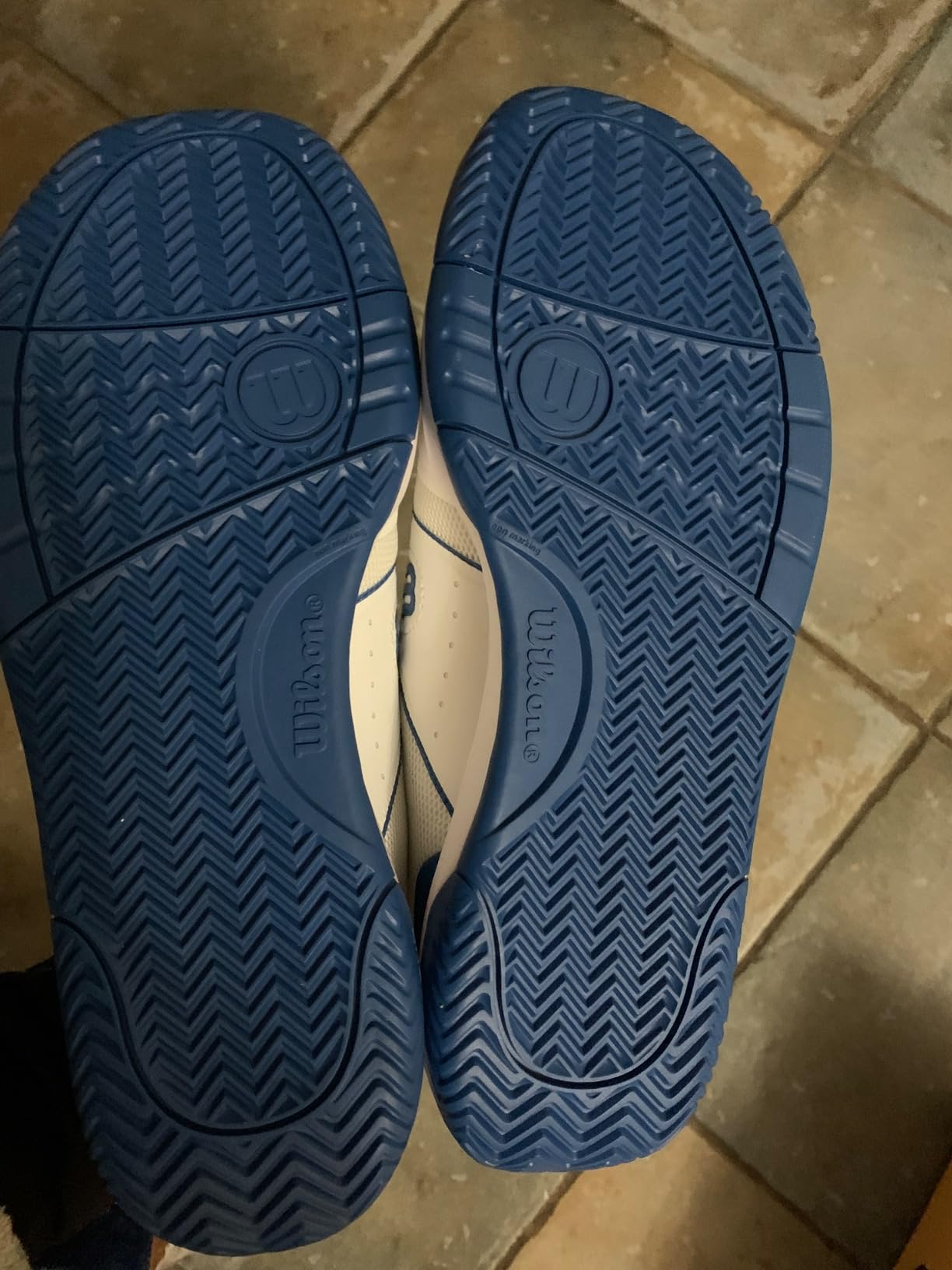 Wilson Men's Pickle Pro Men's Pickleball Shoes customer photo 1