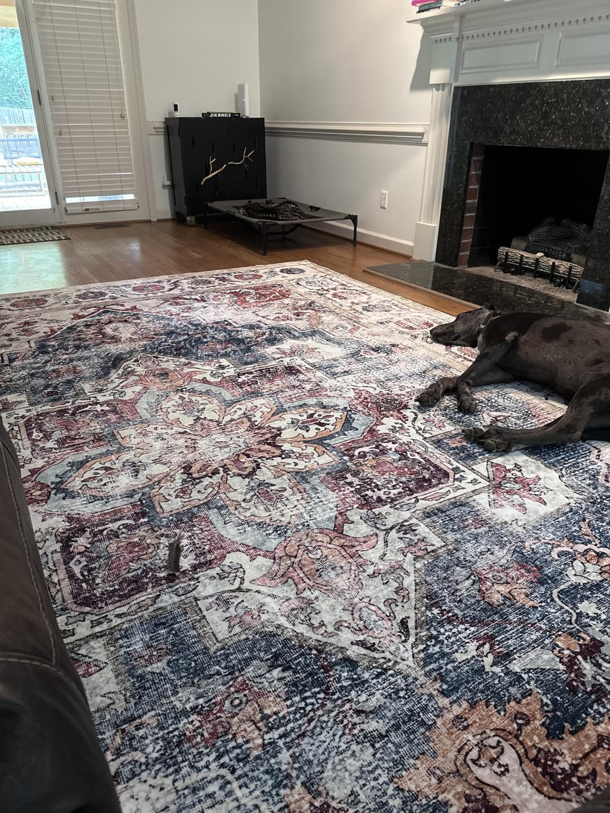 CHAMPLANT Washable Vintage Area Rug 6'x9' Boho Beige Blue Chic Medallion Distressed Design Non-Shedding Easy Care Ideal for High Traffic Areas in Living Room Bedroom Kitchen Office Large Carpet customer photo 1