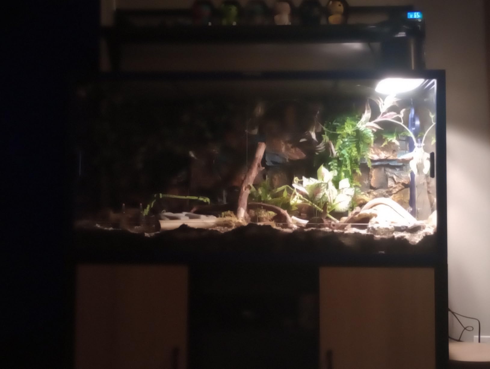 Phailozoo 120 Gallon Bearded Dragon Tank, 48
