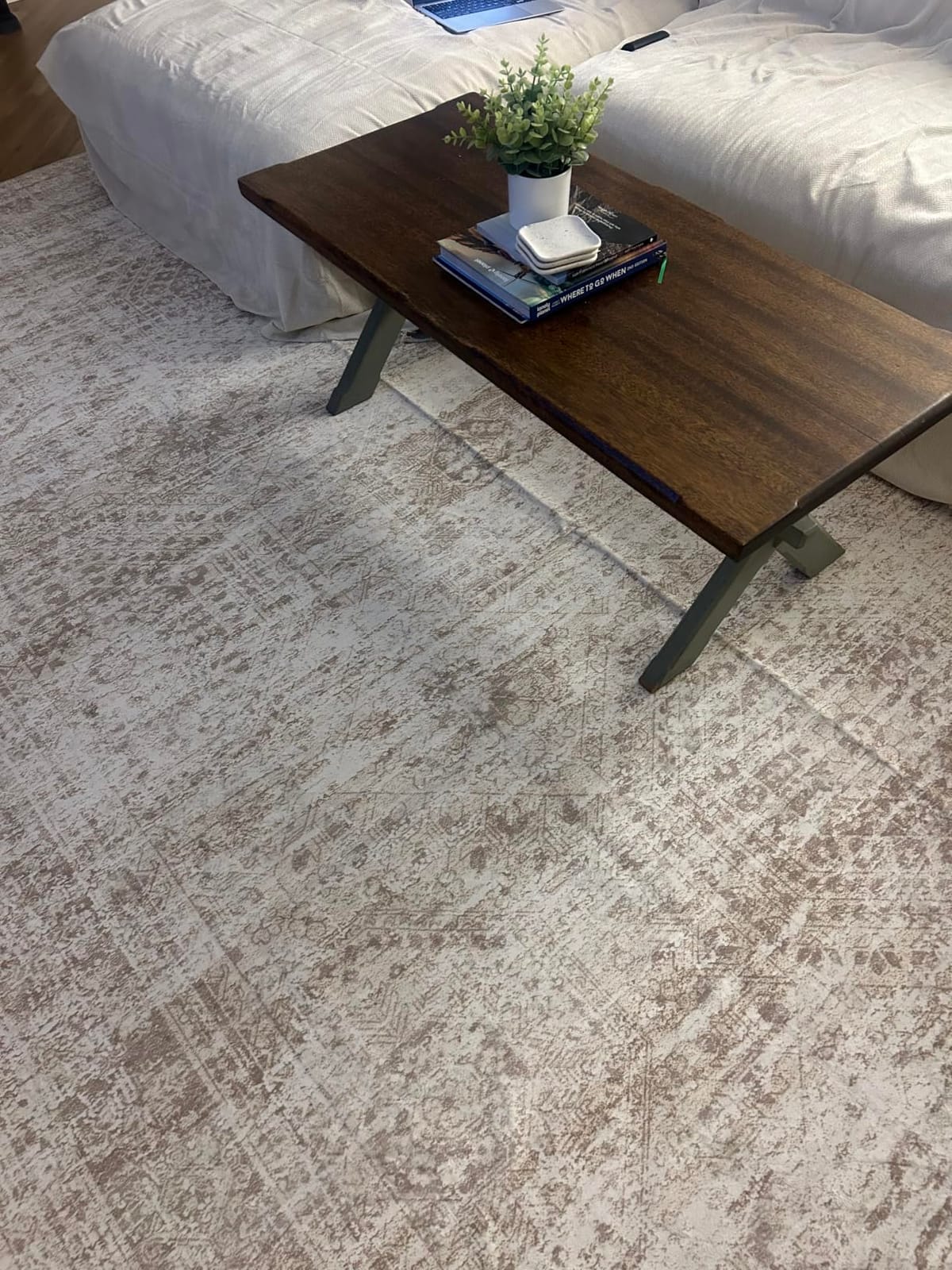 Soalmost Washable Area Rug 8x10 Large Soft Beige Rugs for Living Room | Vintage Non-Slip Carpet for Dining Bedroom, Stain Resistant Low Pile Foldable Lightweight Floor Mat Under Table Home Decor customer photo 1