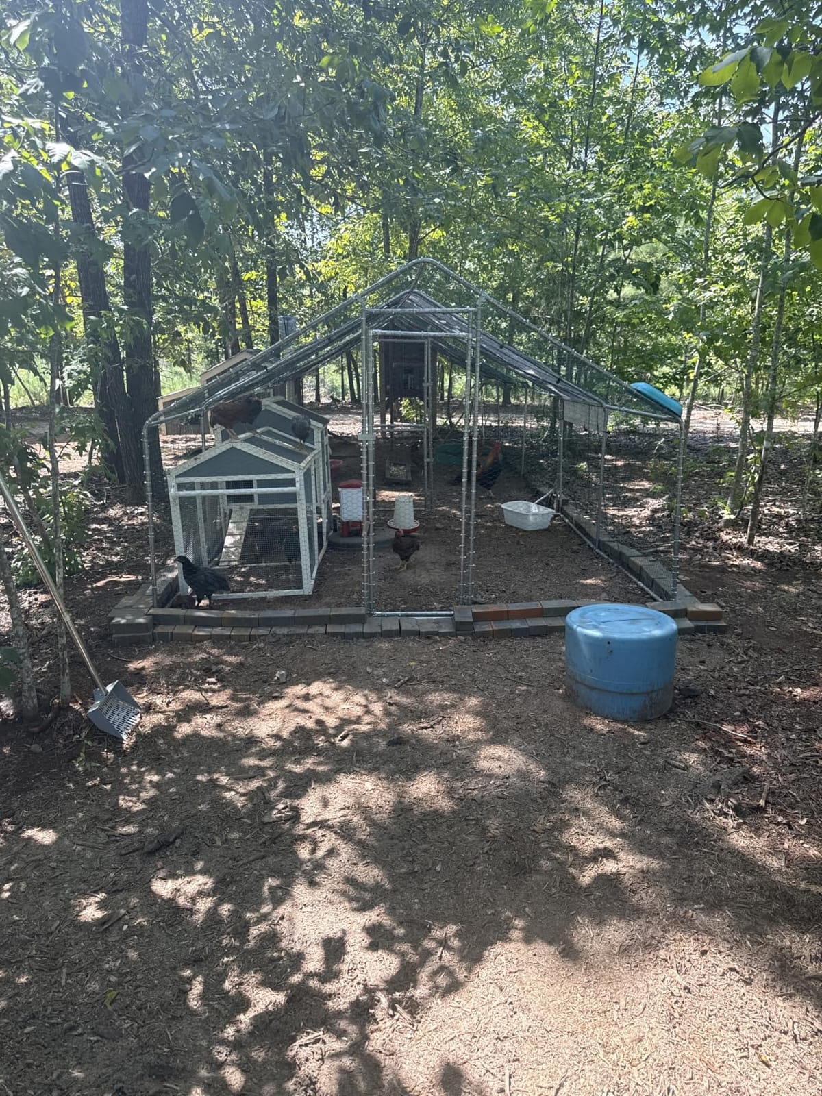 Outvita Chicken Coop, 13×10 FT Large Metal Chicken House, Poultry Habitat Cage with Waterproof Cover, Walk-in Chicken Run Pen for Small Animals, Yard, Farm, Patio customer photo 1