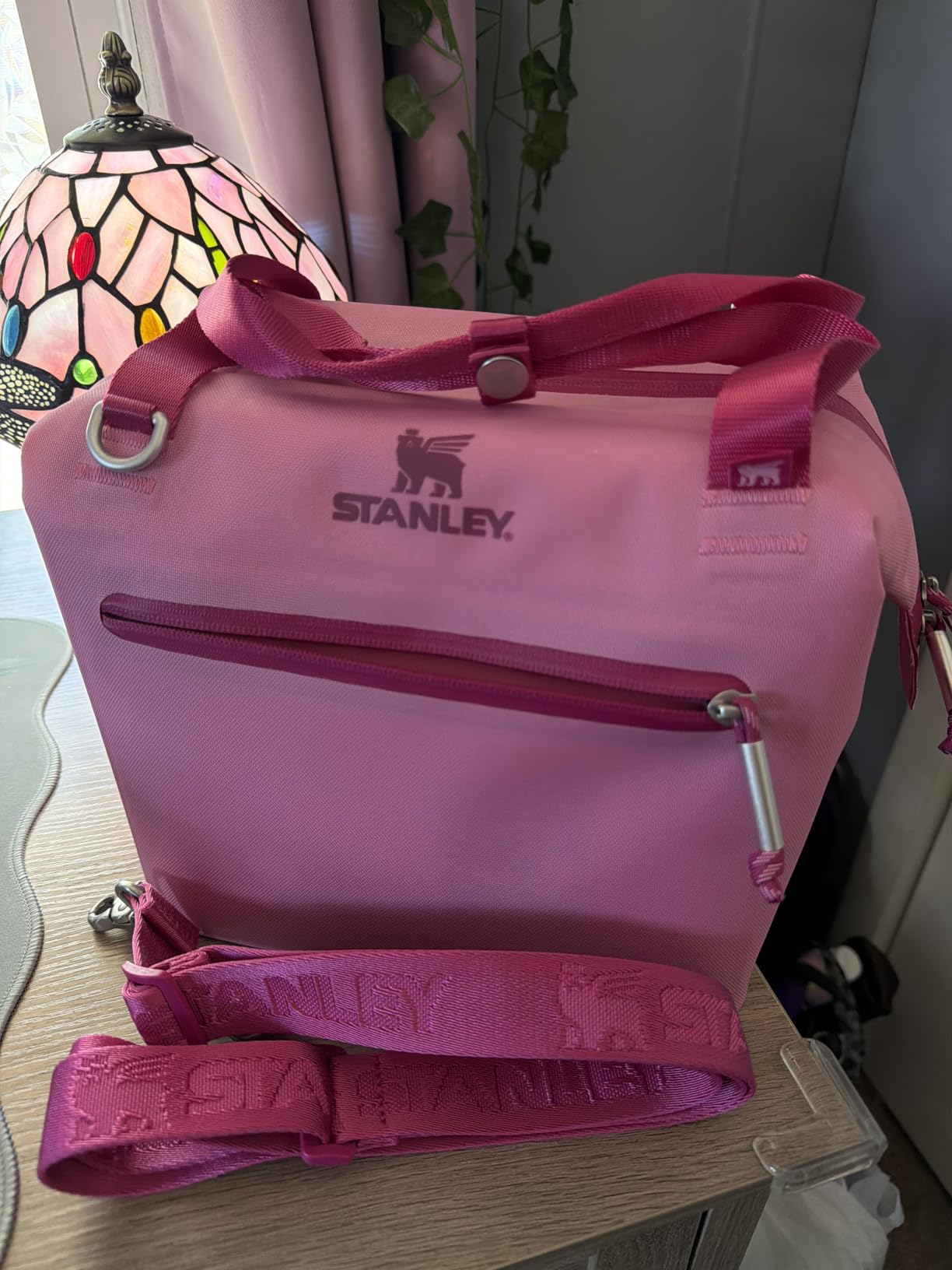 Stanley All Day Julienne Soft Cooler Bag and Lunch Box | Insulated Travel Bag with Zipper | BPA-Free customer photo 1
