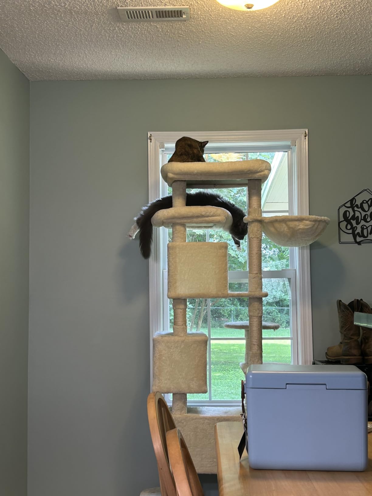 Hey-brother Cat Tree, 74 inches Multi-Level XL Large Cat Tower for Indoor Cats with Three Cat Condos, Two Large Top Decks and Cat Hairbrushfor Kittens, Cats and Pets, Smoky Gray MPJ035-MG customer photo 1
